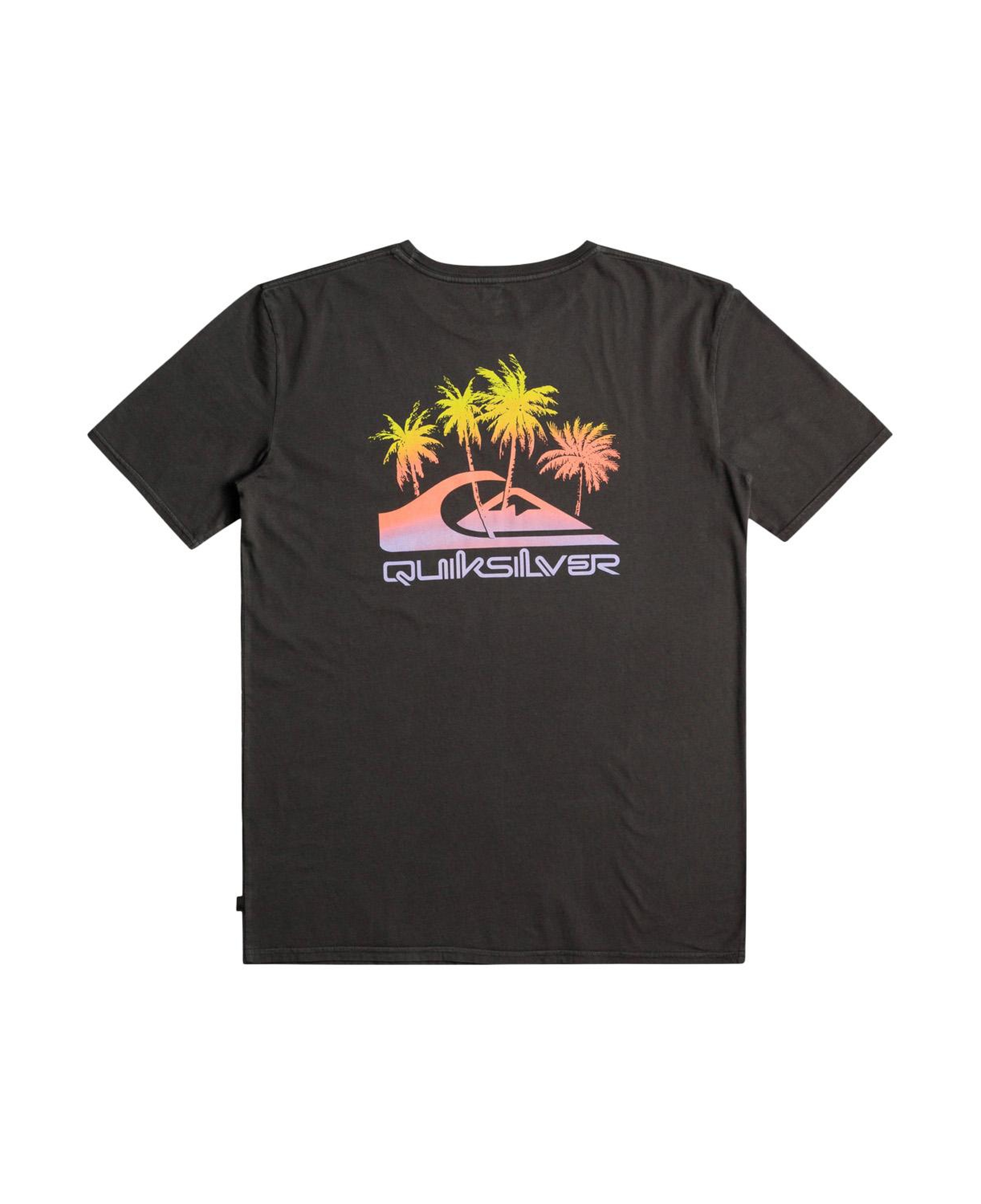 Quiksilver Pastimeparadise Erkek Siyah Tişört