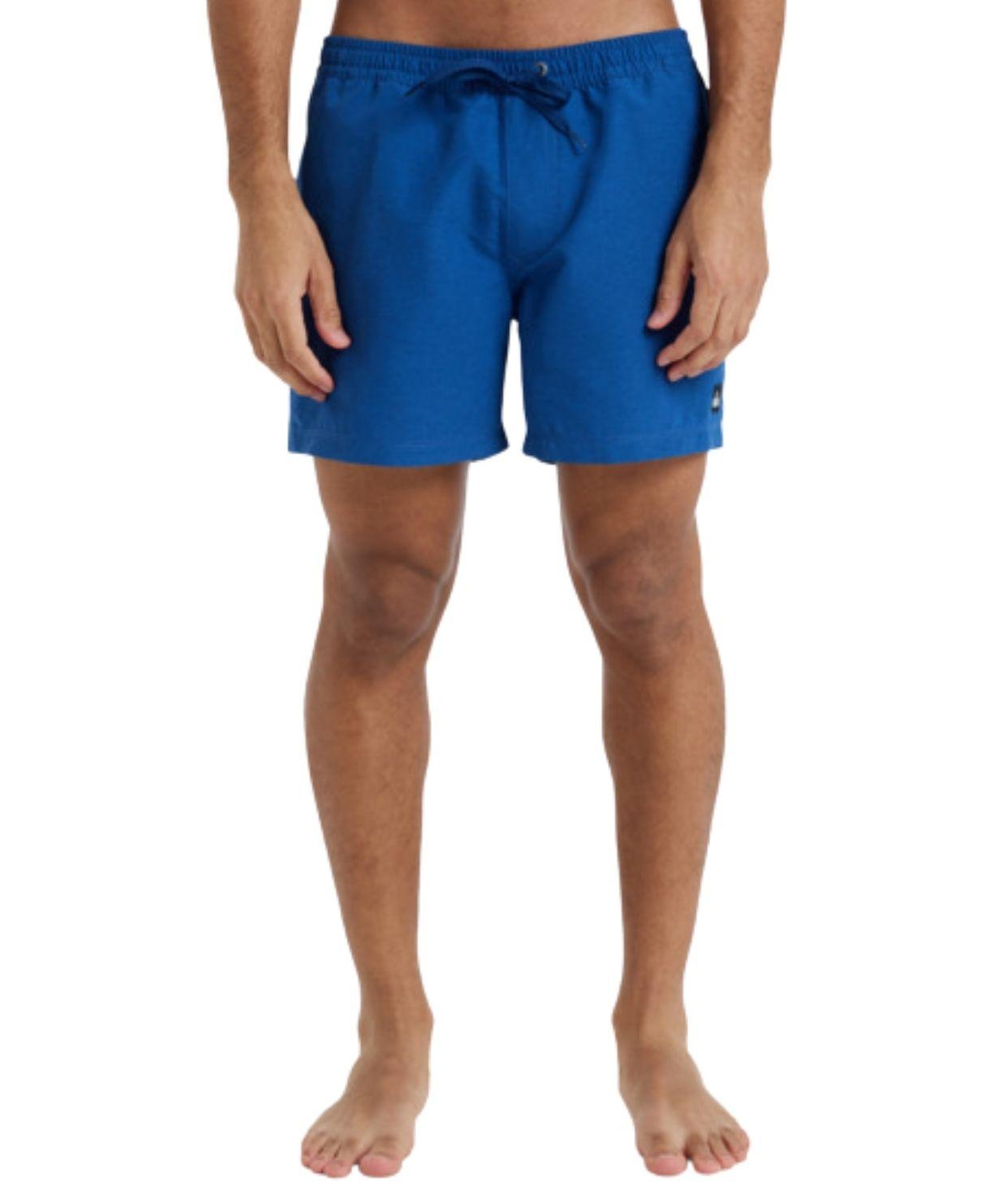 Quiksilver Everyday Deluxe 15 Erkek Volley Short