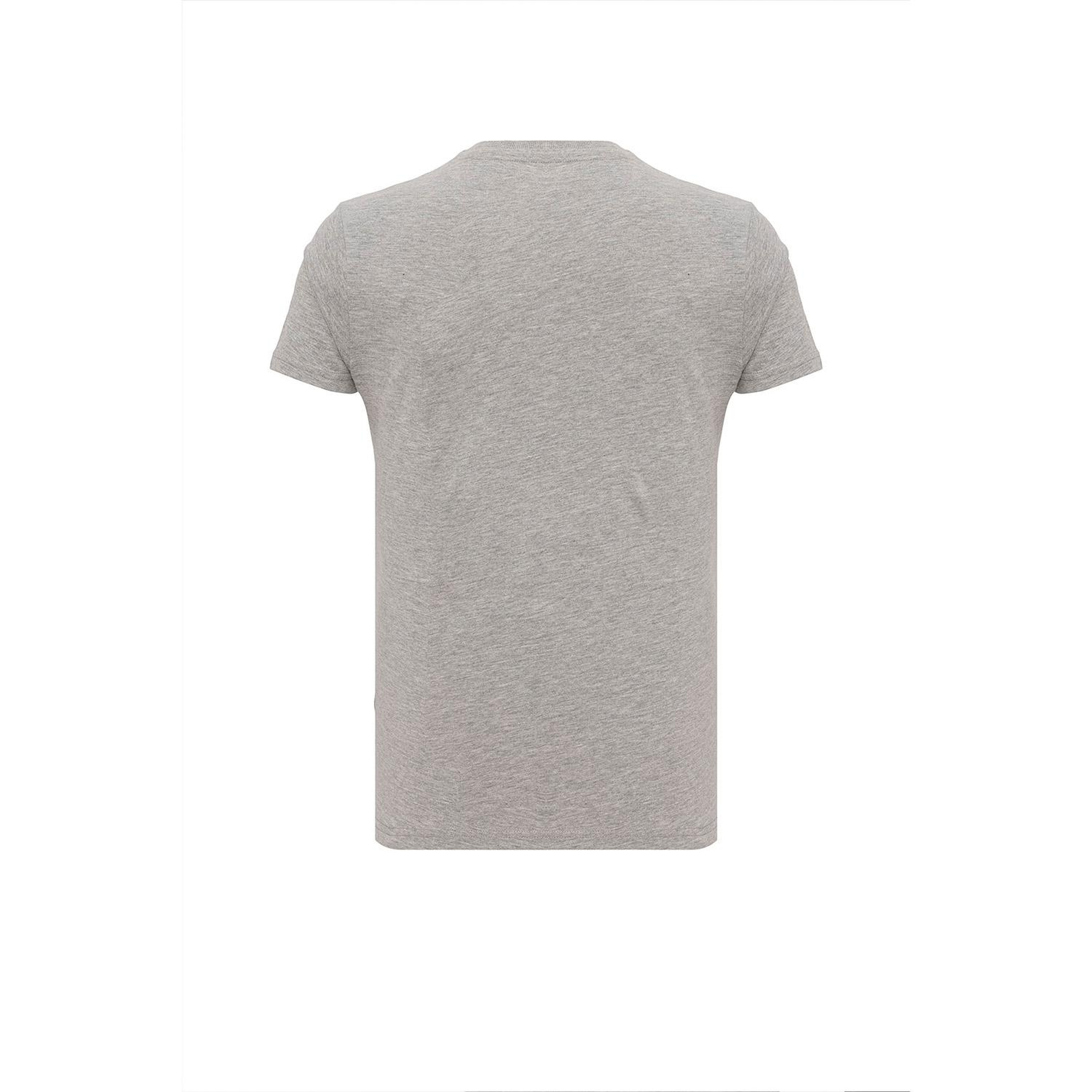 Routefield Truman Erkek Gri Tişört