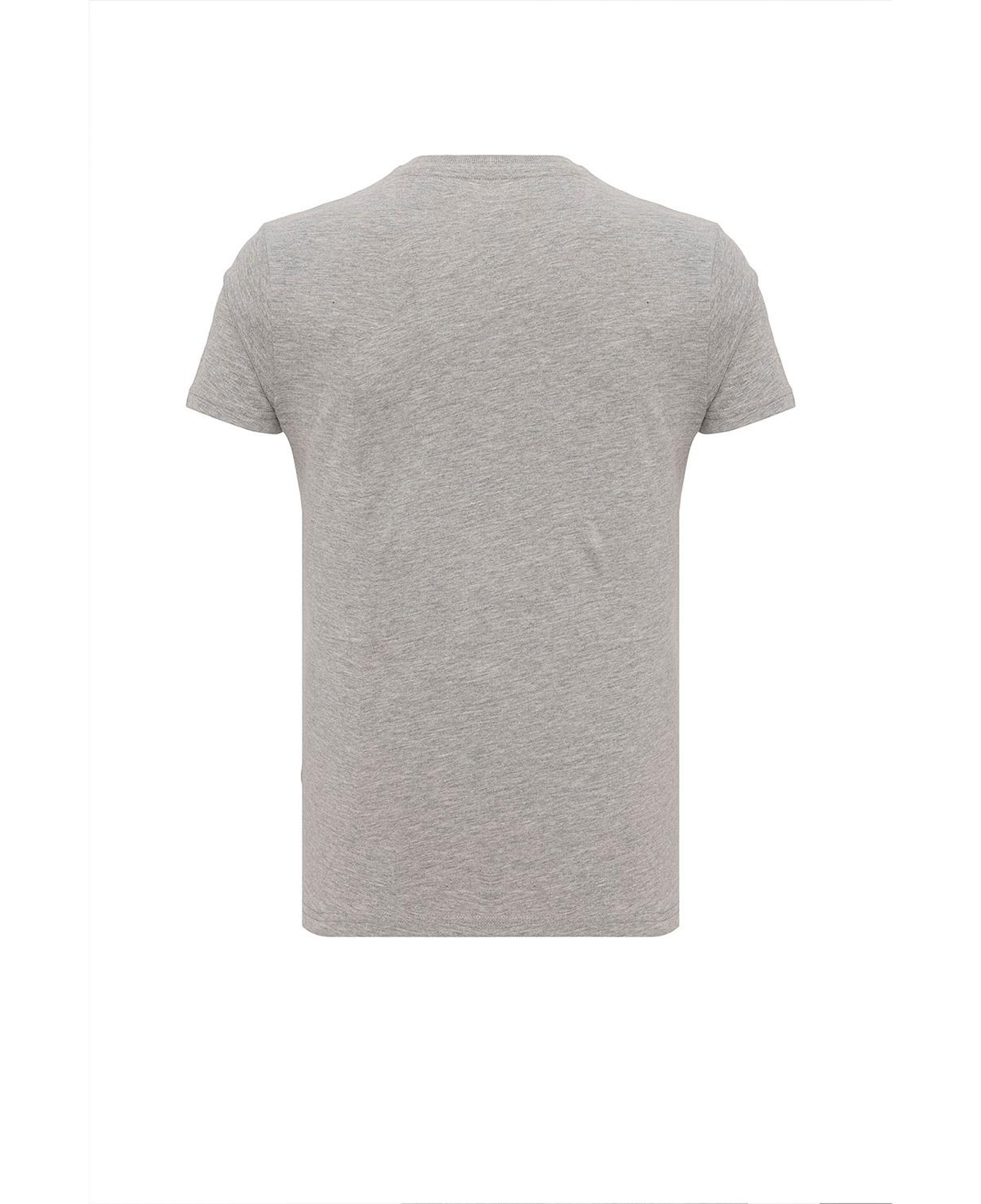 Routefield Truman Erkek Gri Tişört