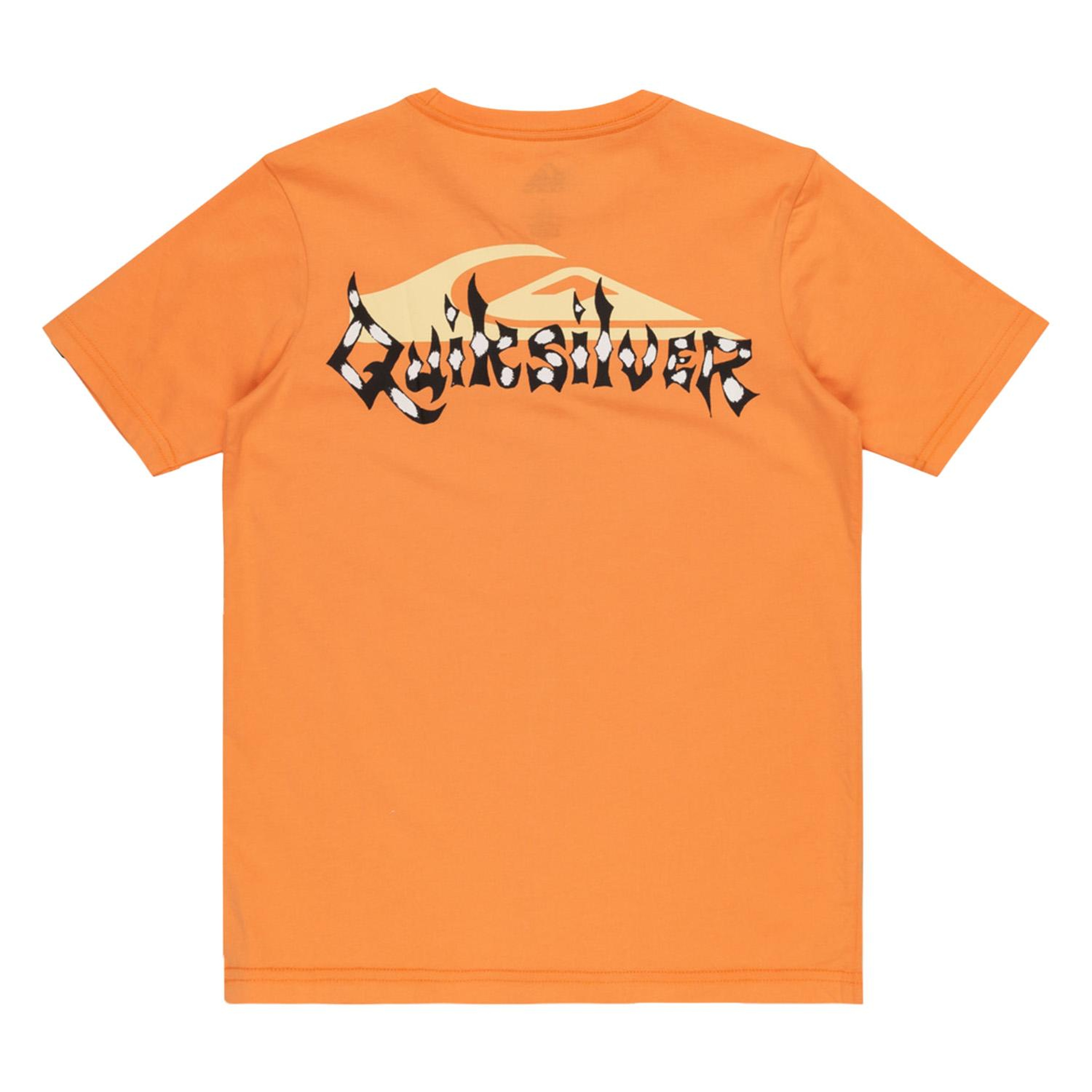 Quiksilver Surf Core Youth Erkek Çocuk Turuncu Tişört