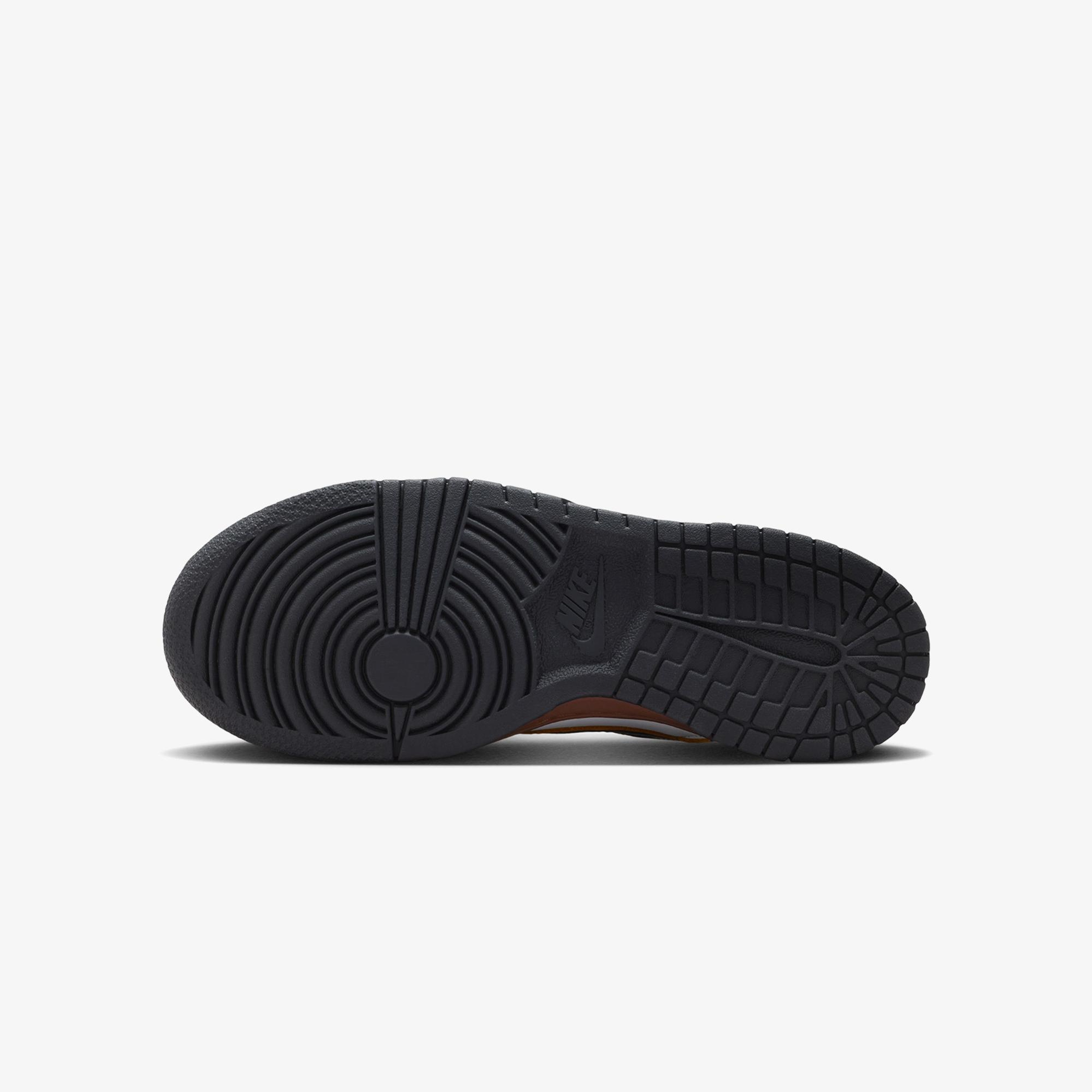 Nike Dunk Low SE Renkli Spor Ayakkabı