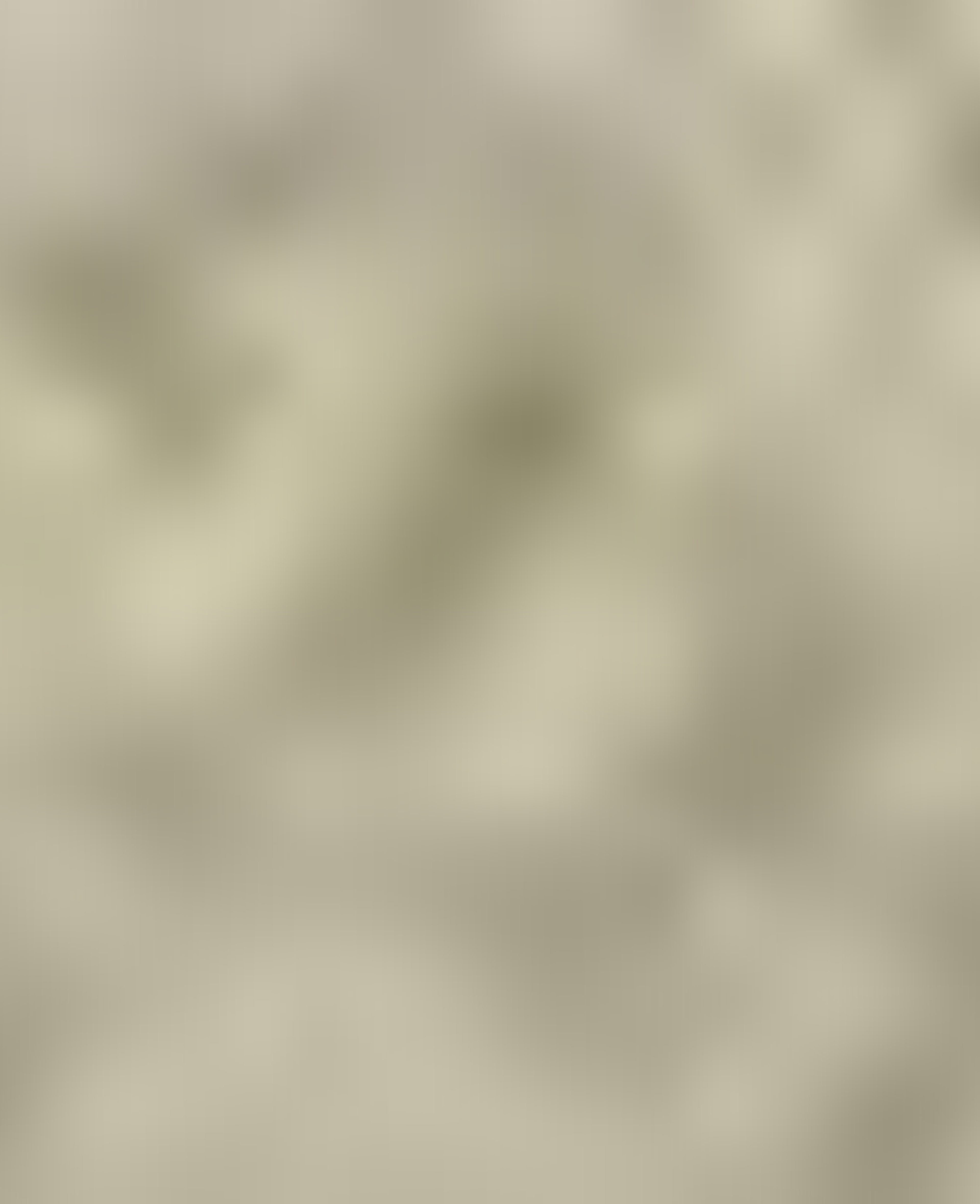 Lacoste Unisex Sarı Güneş Gözlüğü