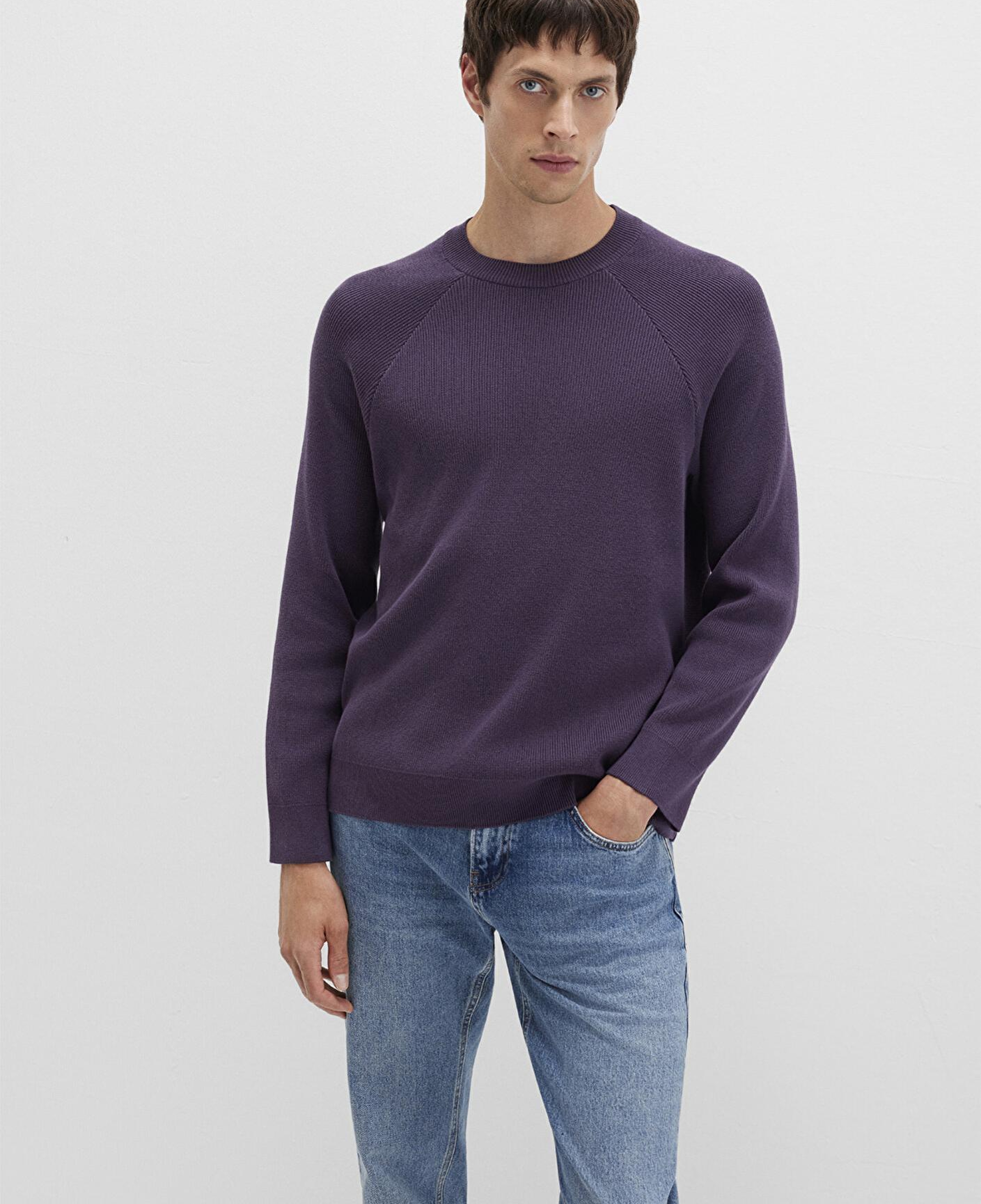 Mavi Bisiklet Yaka Mor Kazak Regular Fit / Normal Kesim 0710307-70688