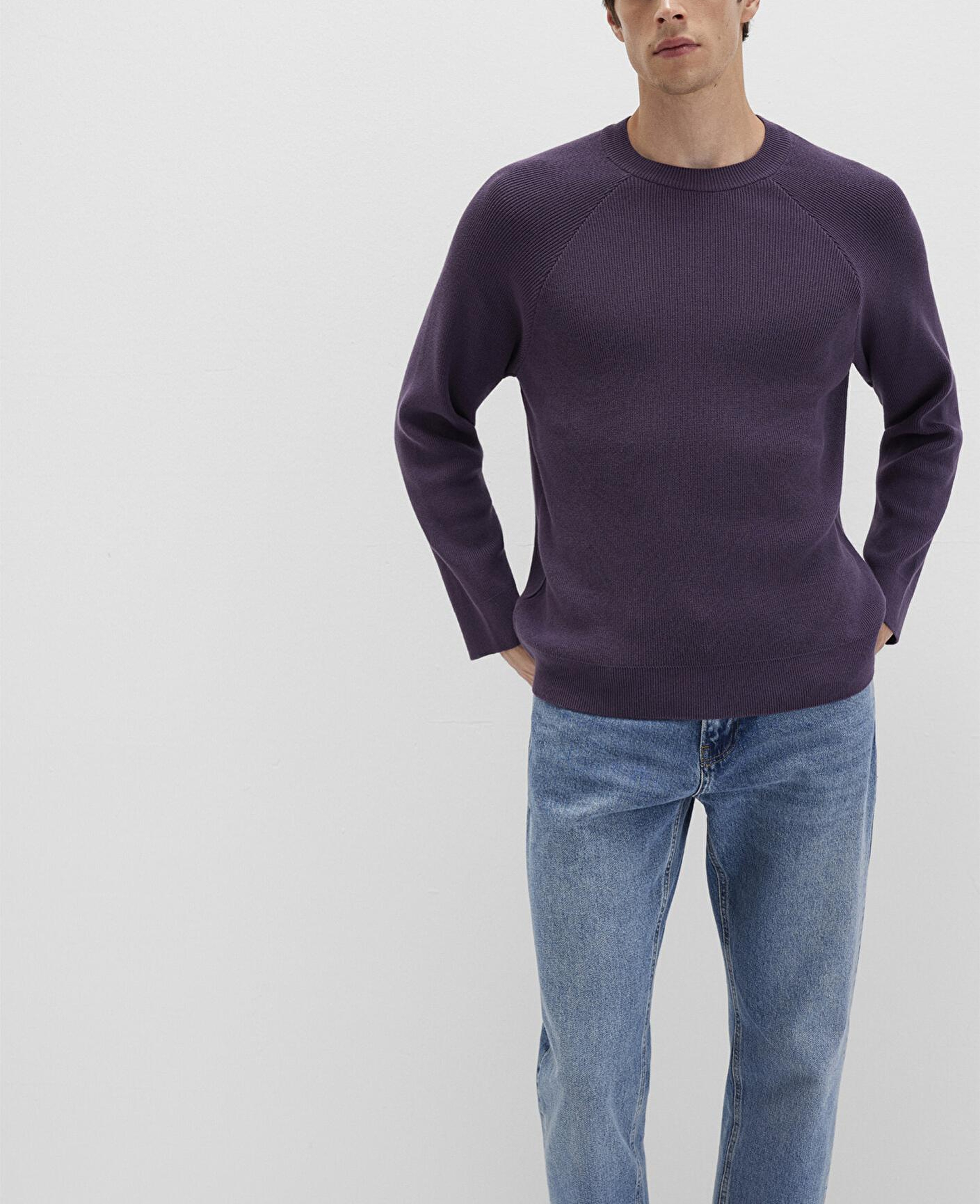 Mavi Bisiklet Yaka Mor Kazak Regular Fit / Normal Kesim 0710307-70688