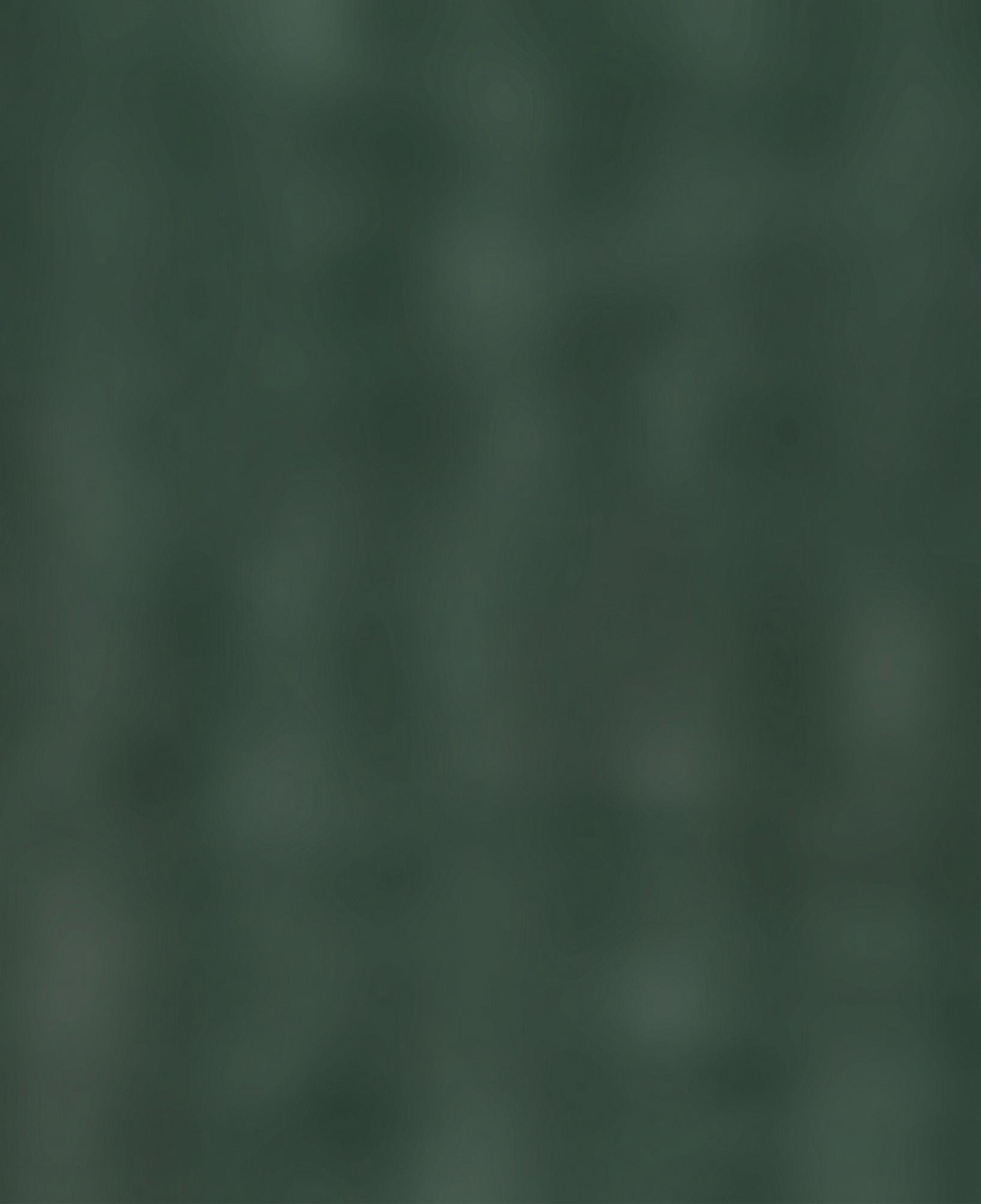 Nautica Erkek Yeşil Jogger Fit Pantolon