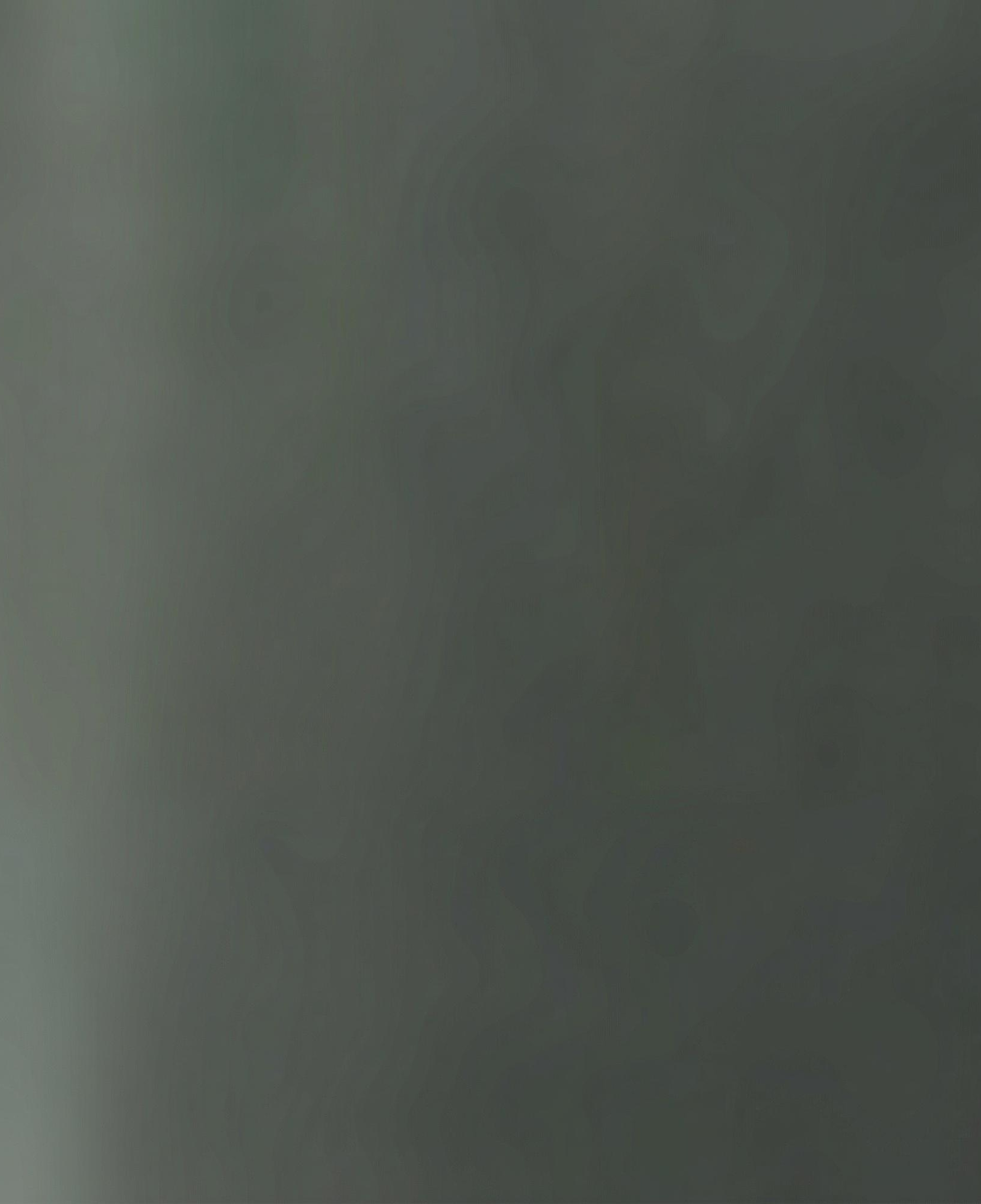 Nautica Erkek Yeşil Regular Fit Eşofman Altı