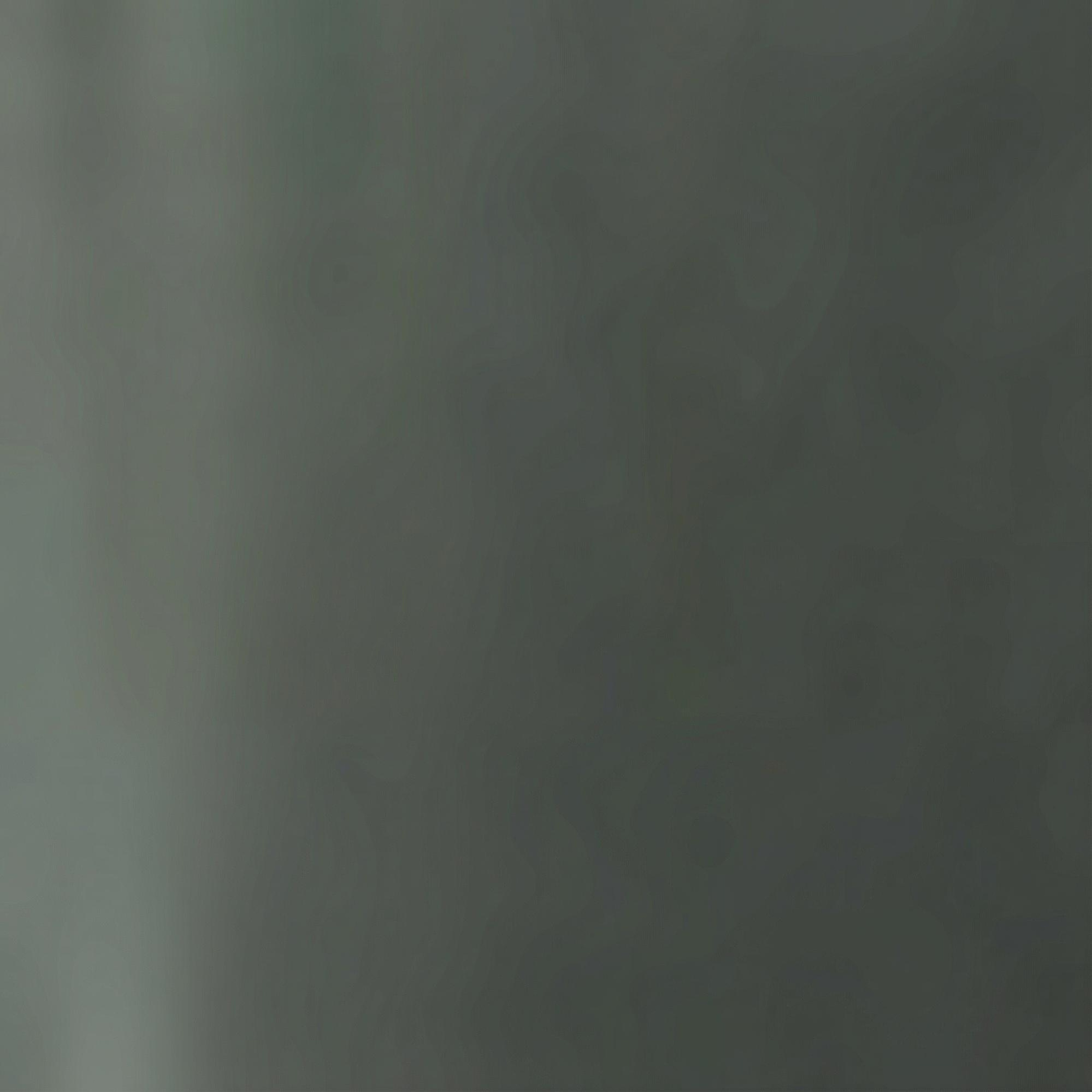 Nautica Erkek Yeşil Regular Fit Eşofman Altı