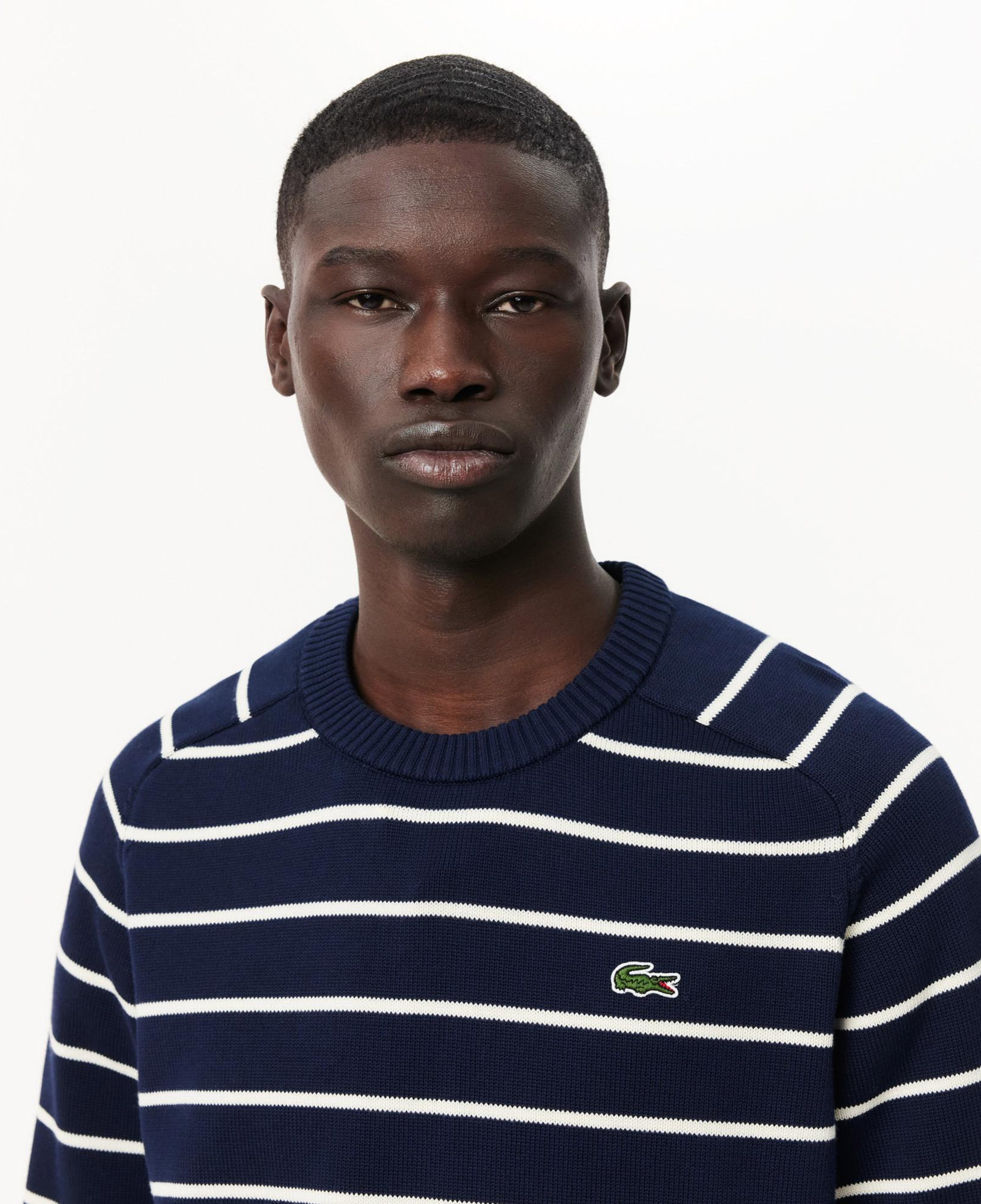 Lacoste Erkek Classic Fit Bisiklet Yaka Çizgili Lacivert Kazak