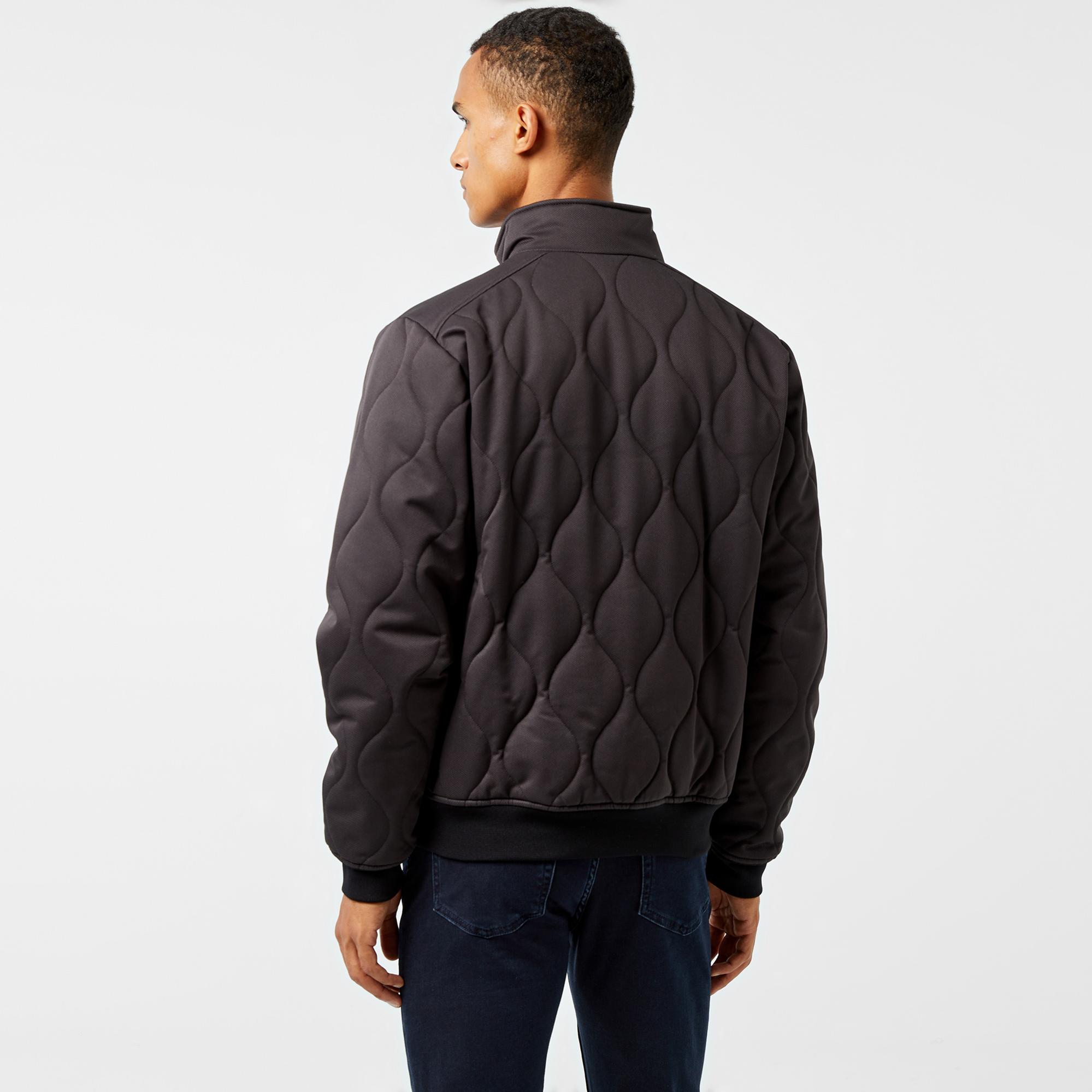 Lacoste Erkek Relaxed Fit Dik Yaka Kapitone Siyah Mont