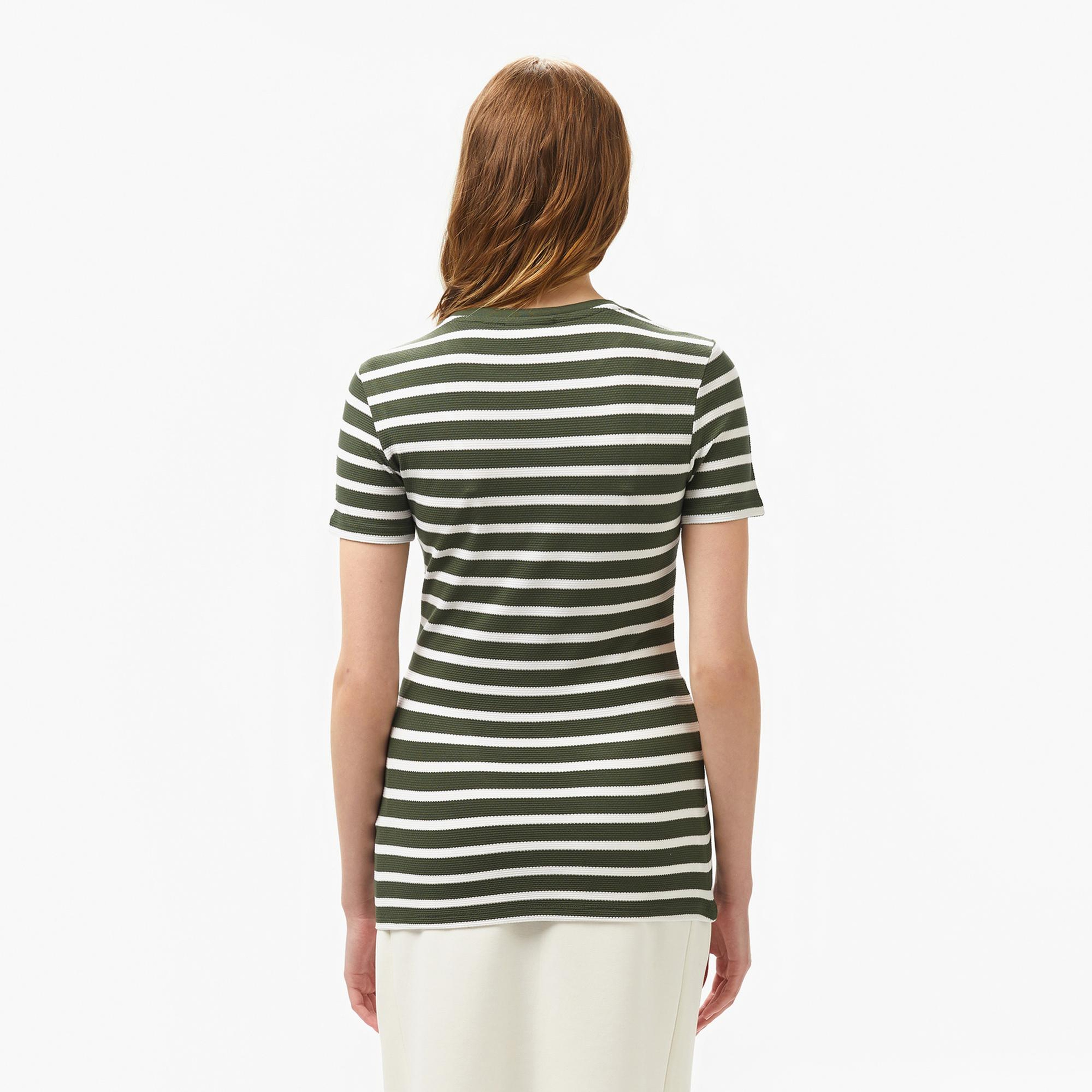 Lacoste Kadın Slim Fit Bisiklet Yaka Çizgili Koyu Yeşil T-Shirt