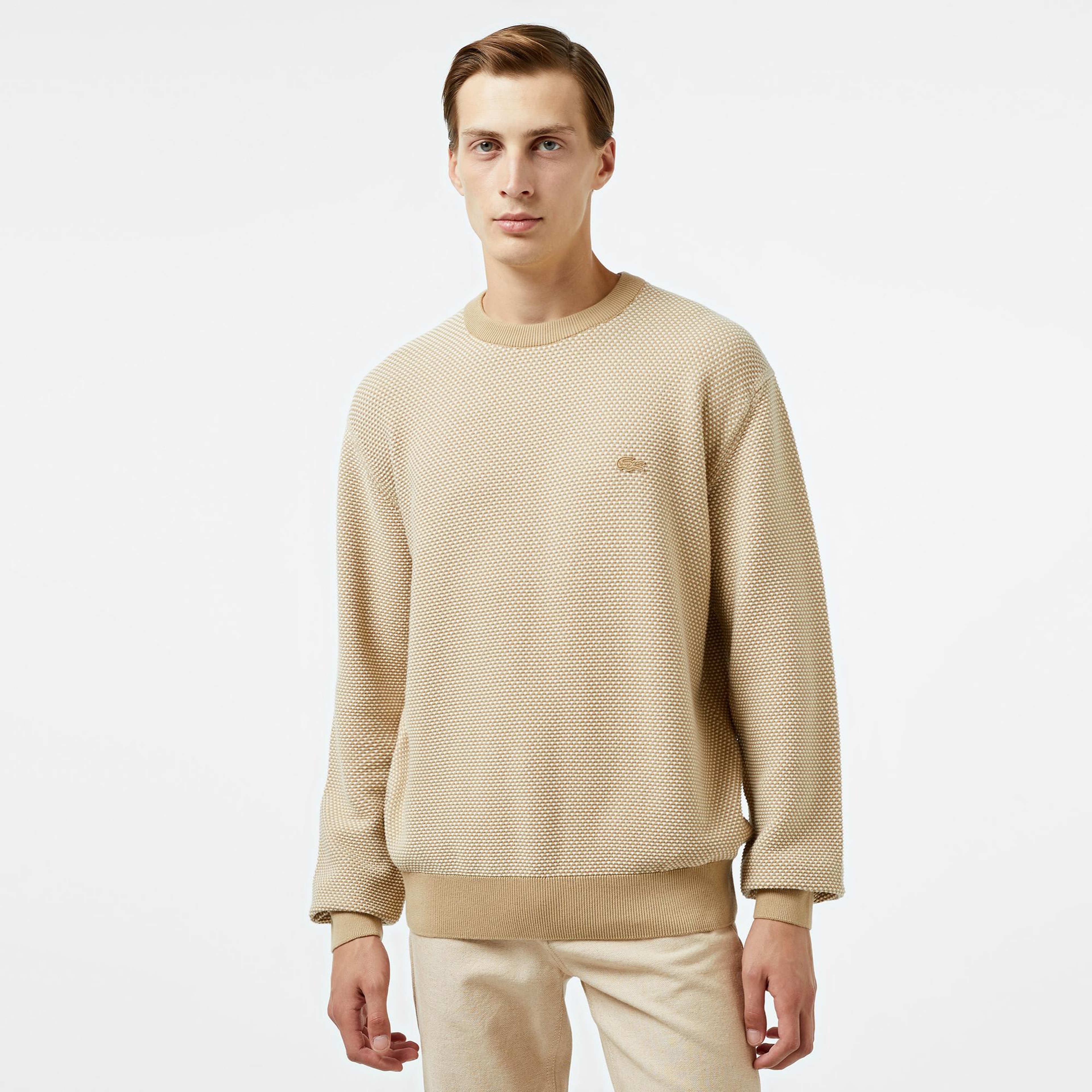 Erkek Relaxed Fit Bisiklet Yaka Bej Triko