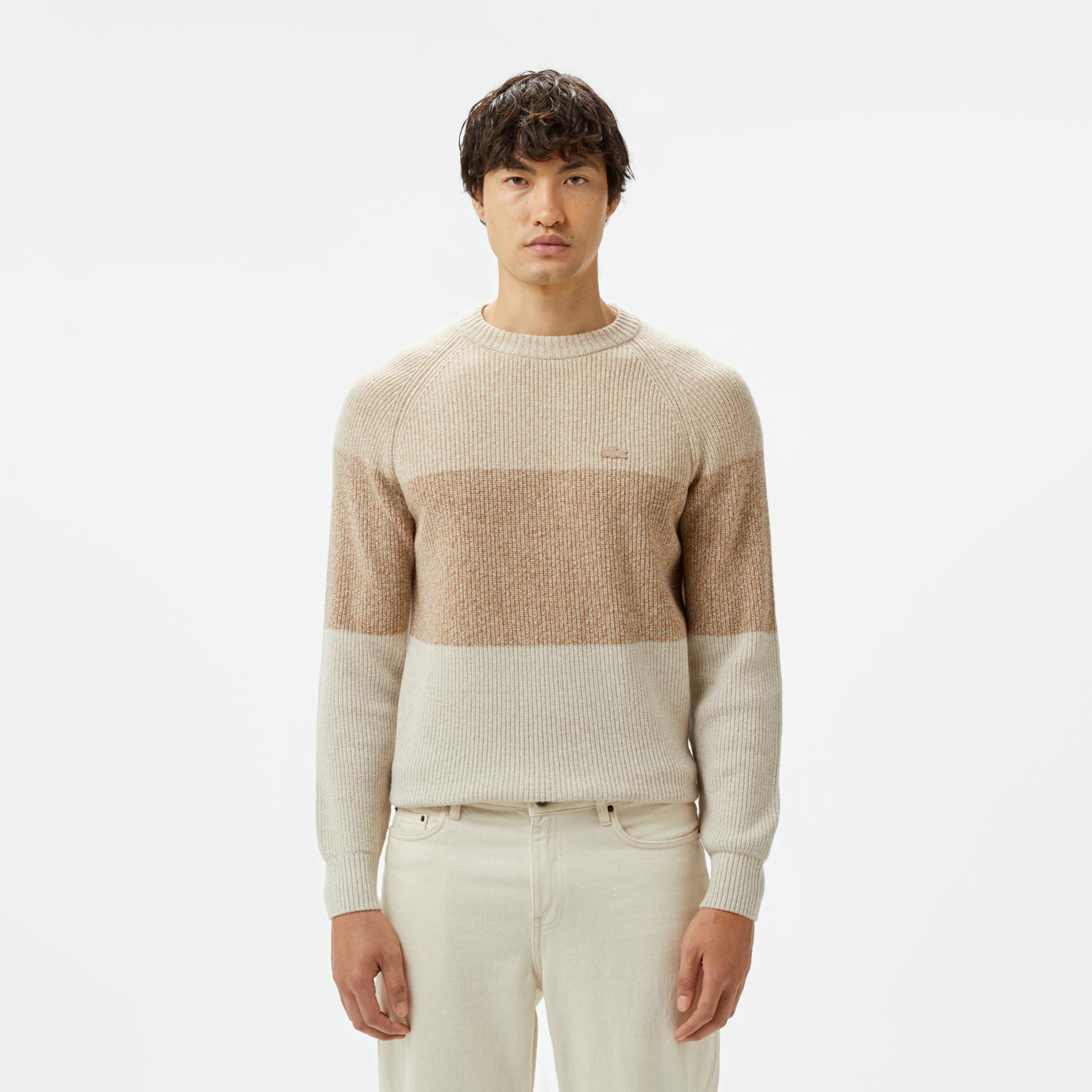 Erkek Relaxed Fit Bisiklet Yaka Renk Bloklu Bej Kazak