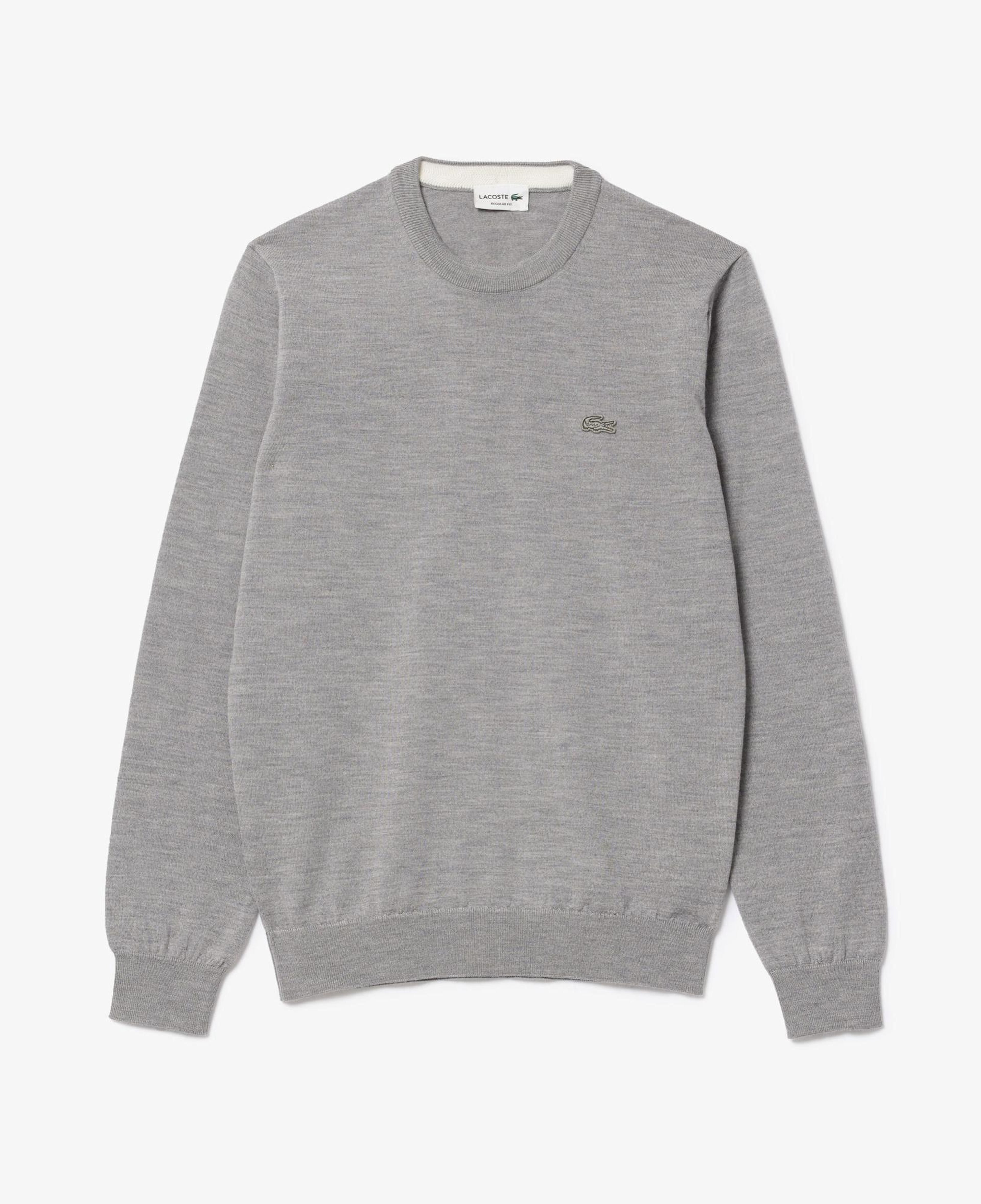 Erkek Regular Fit Bisiklet Yaka Yün Gri Triko