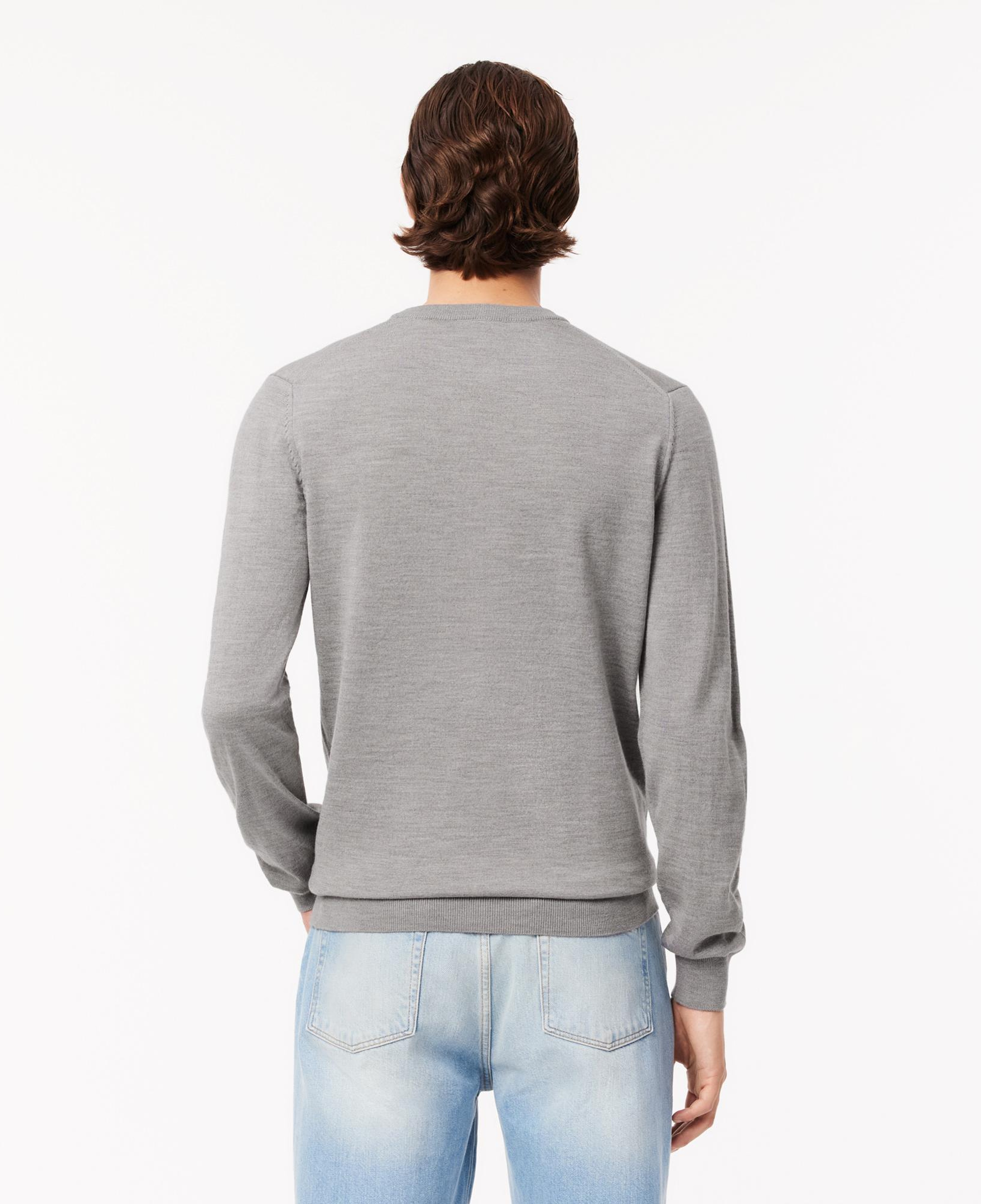 Erkek Regular Fit Bisiklet Yaka Yün Gri Triko