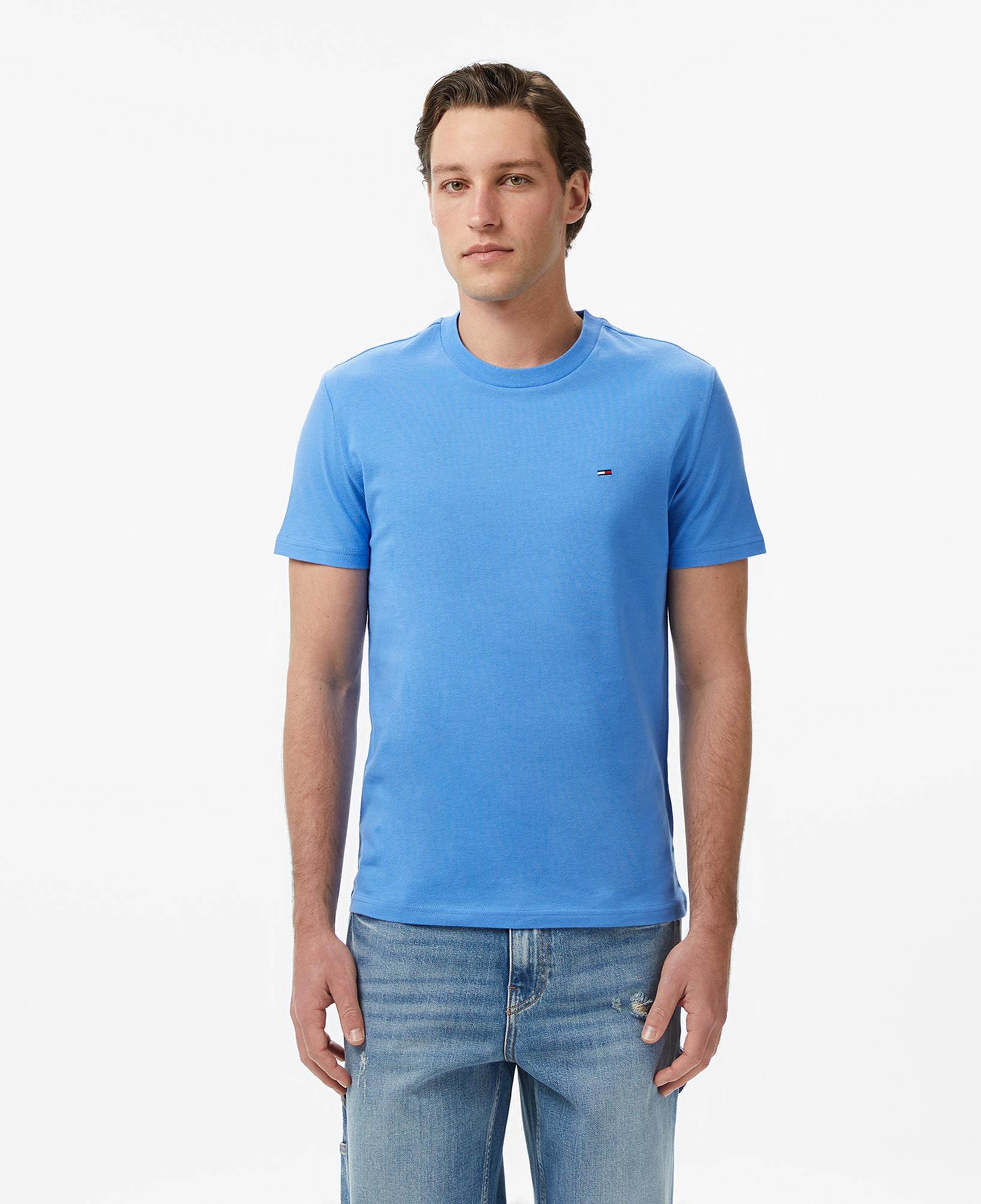 Tommy Hilfiger Classic Flag Erkek Renkli T-Shirt