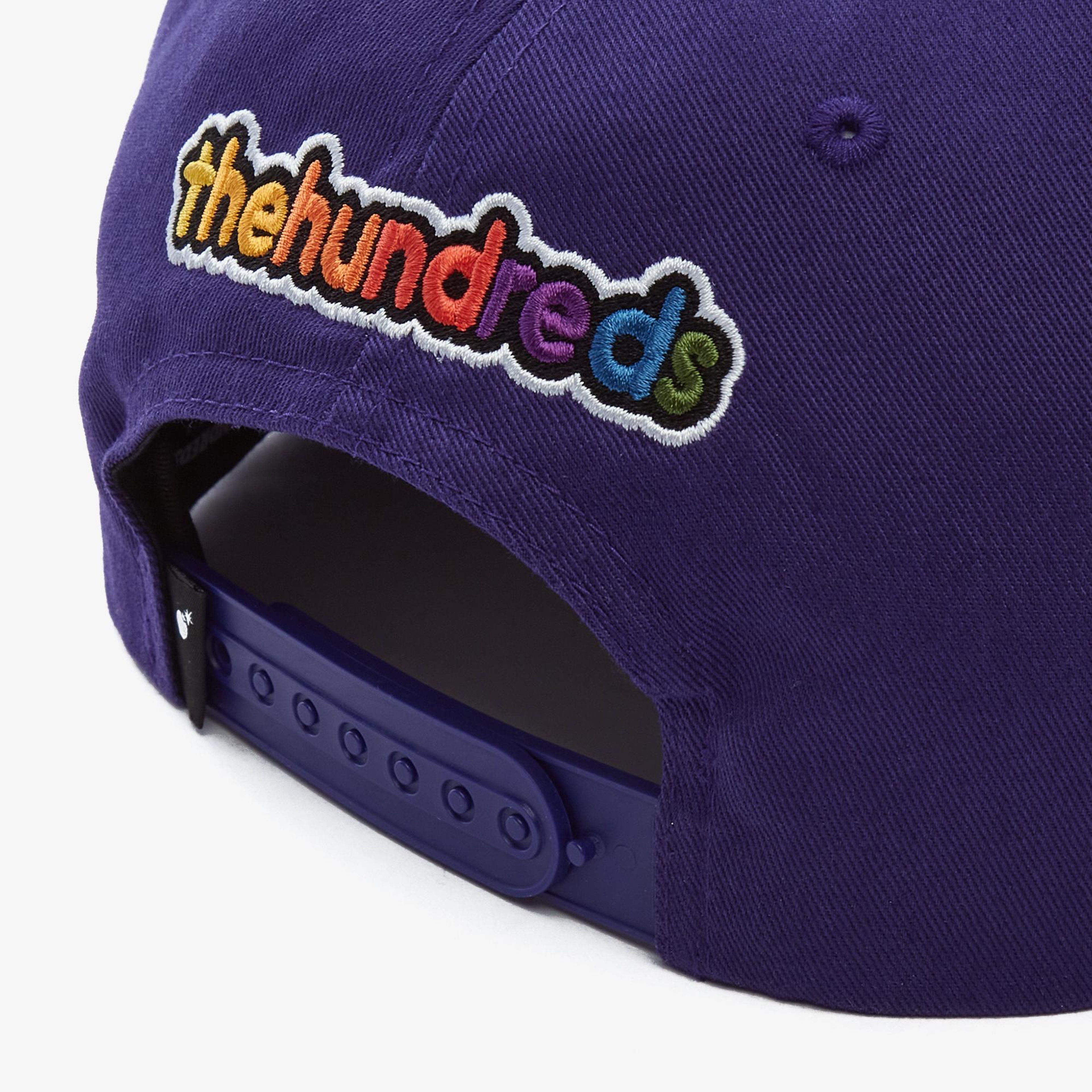 The Hundreds Froots Snapback Erkek Mor Şapka
