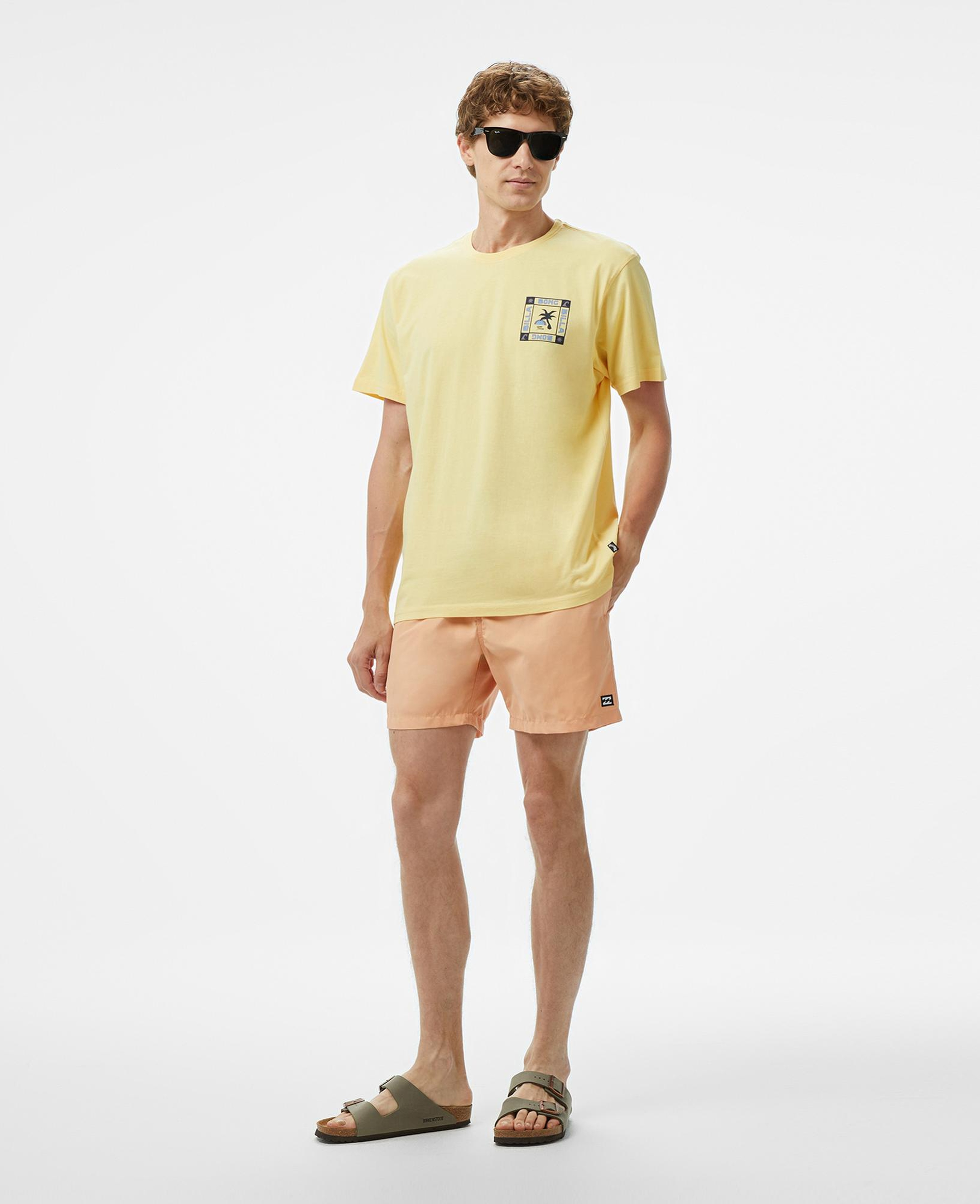 Billabong Window Premium Erkek Sarı T-Shirt