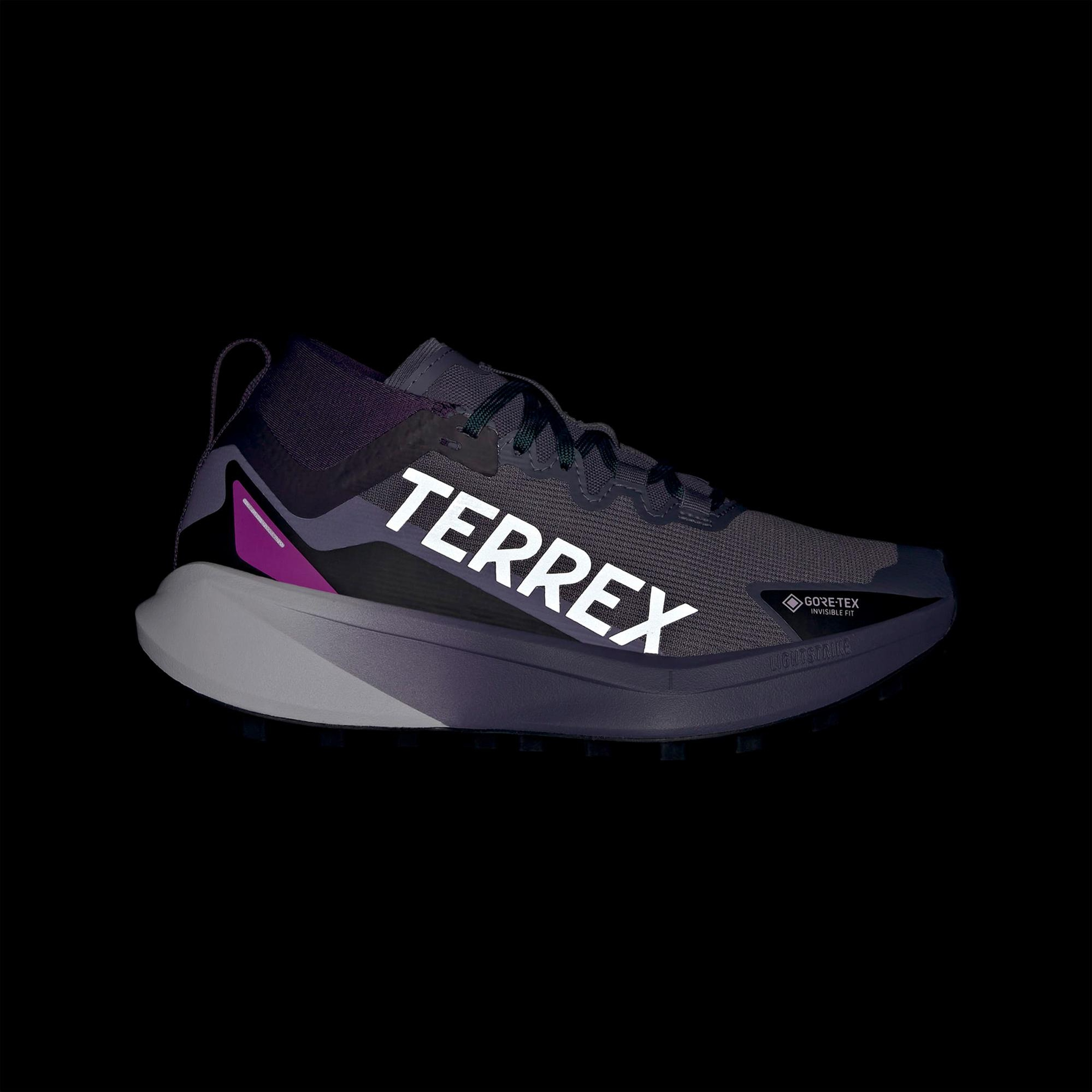 adidas Terrex Agravic Gore-Tex Kadın Mor Koşu Ayakkabısı
