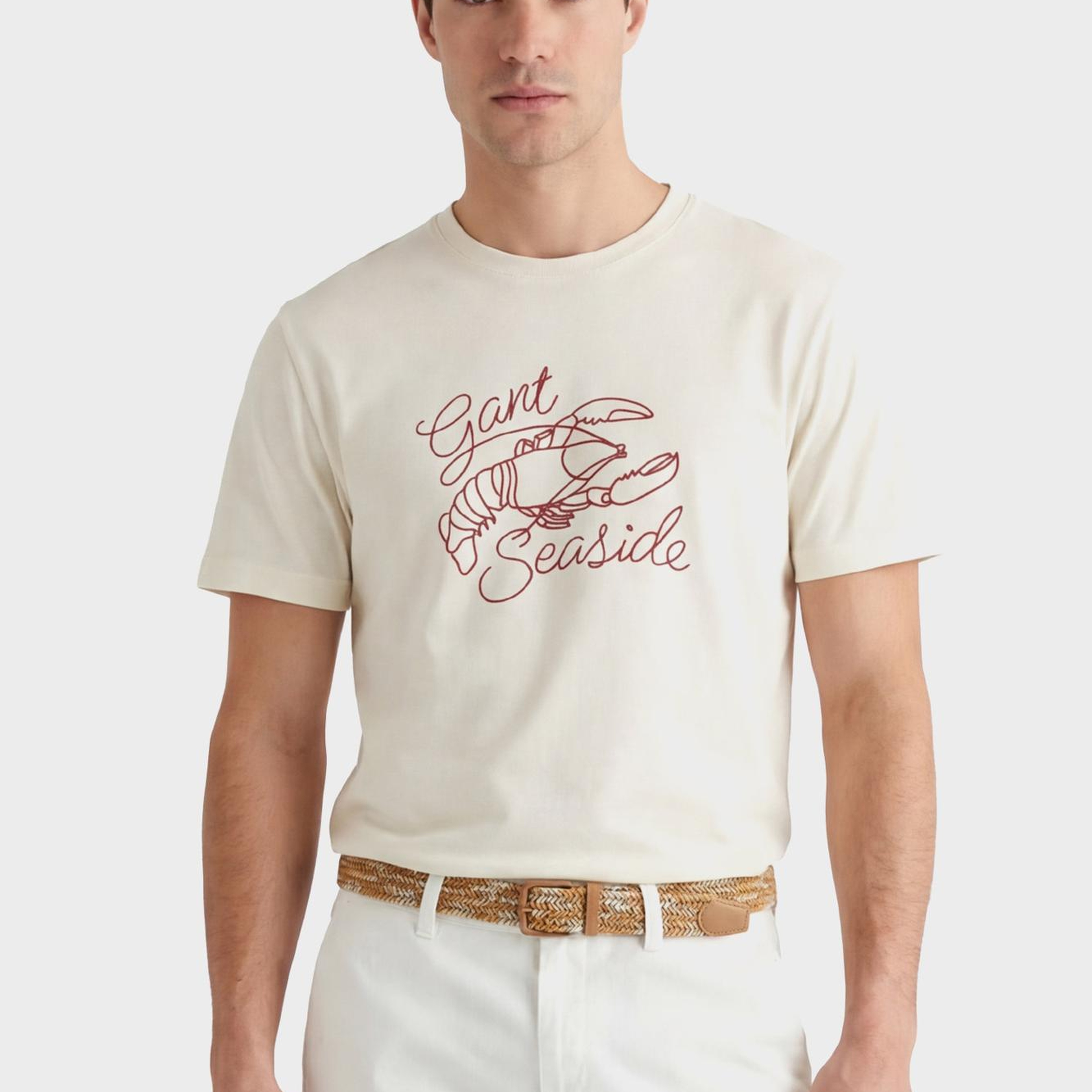 GANT Erkek Krem Bisiklet Yaka Regular Fit T-Shirt