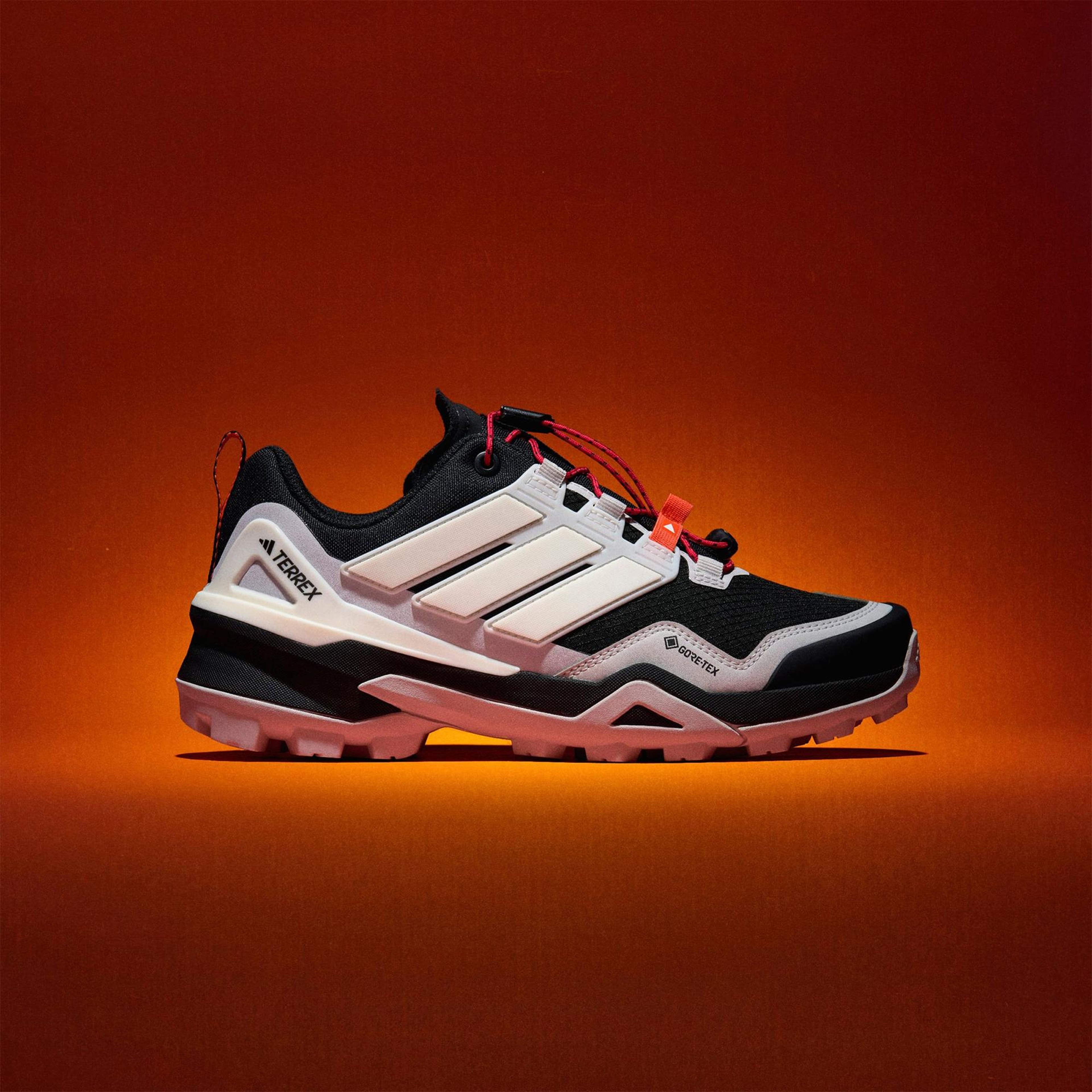 adidas Terrex Skychaser Gore-Tex Kadın Siyah Koşu Ayakkabısı