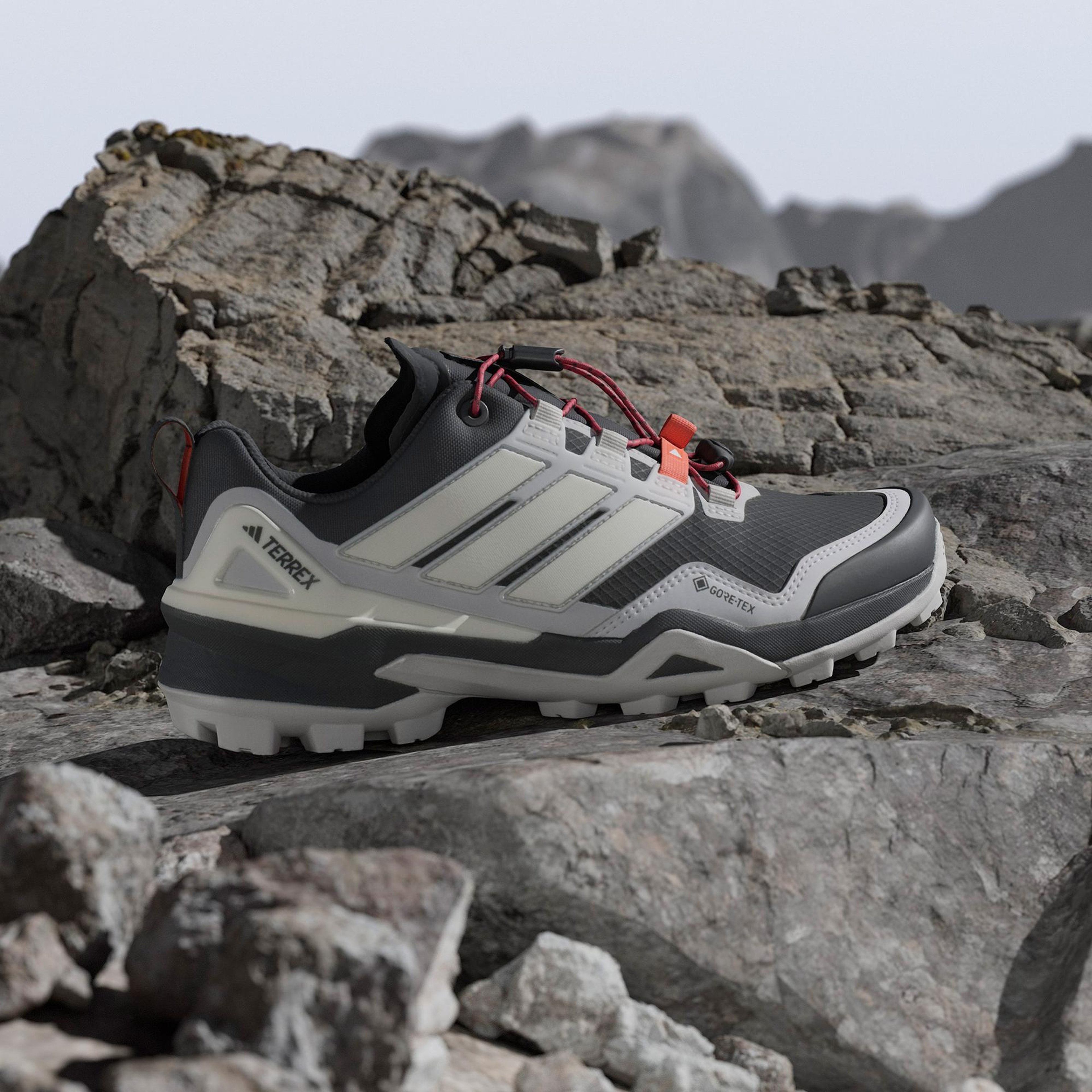 adidas Terrex Skychaser Gore-Tex Kadın Siyah Koşu Ayakkabısı