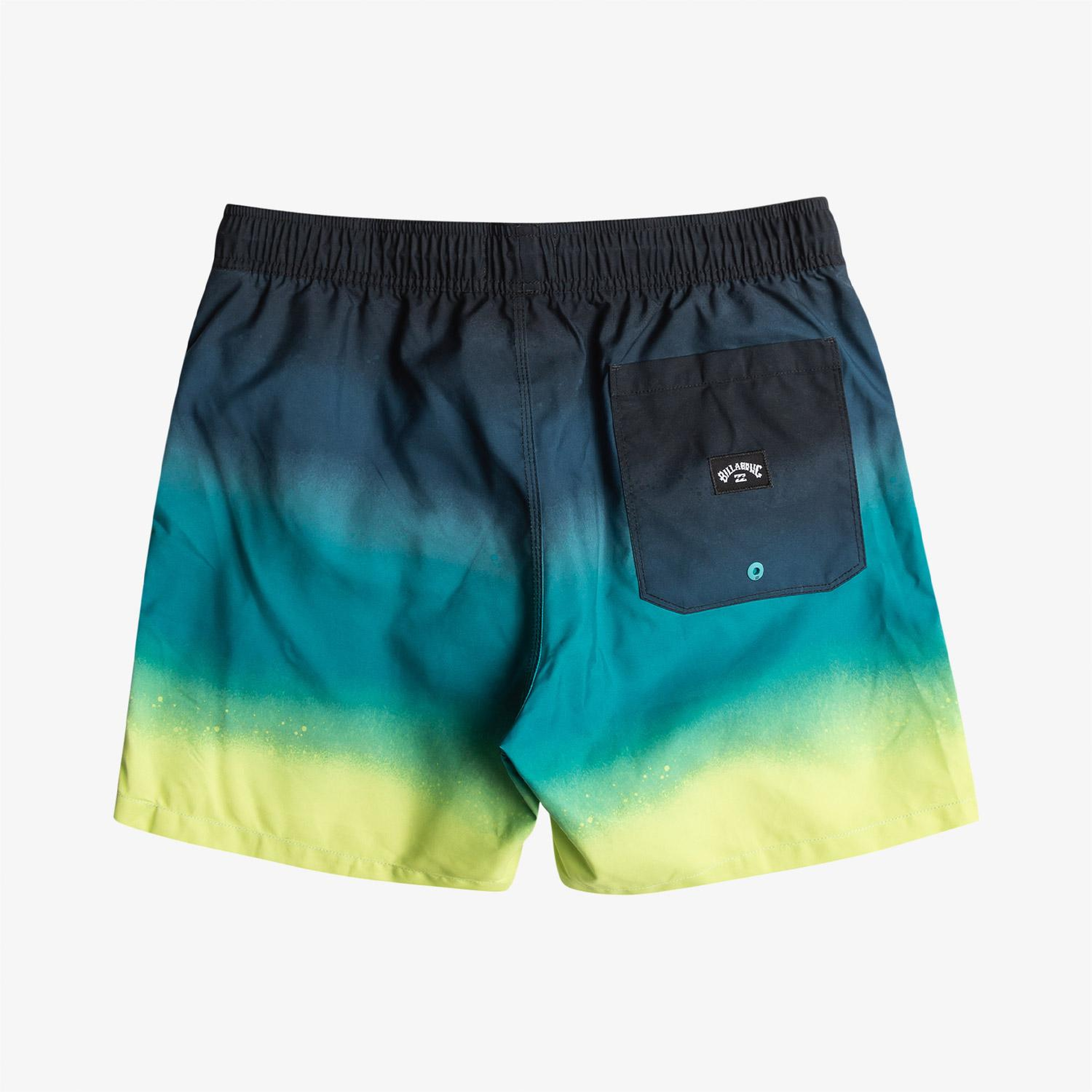 Billabong All Day Fade Erkek Renkli  Mayoşort