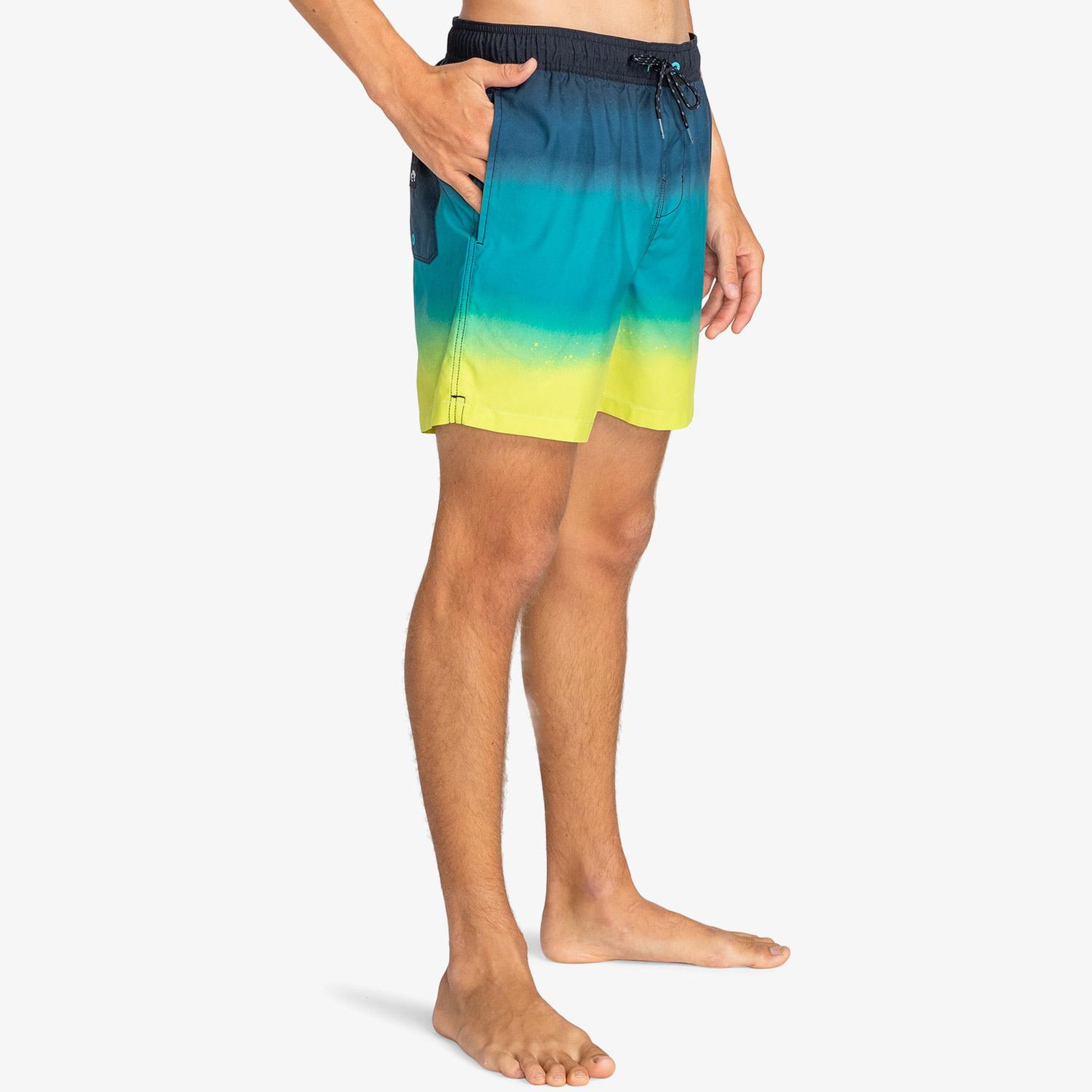 Billabong All Day Fade Erkek Renkli  Mayoşort