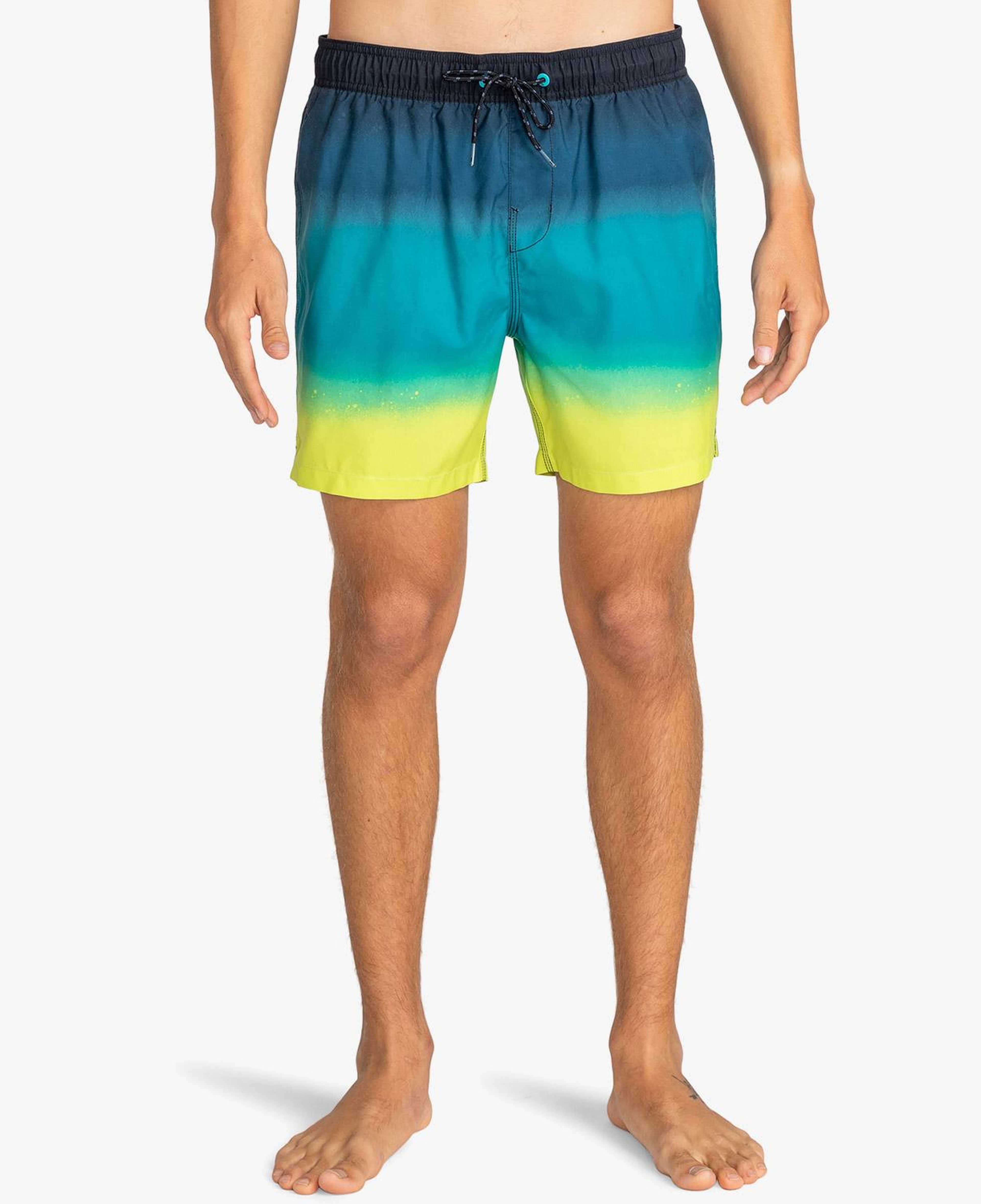 Billabong All Day Fade Erkek Renkli  Mayoşort