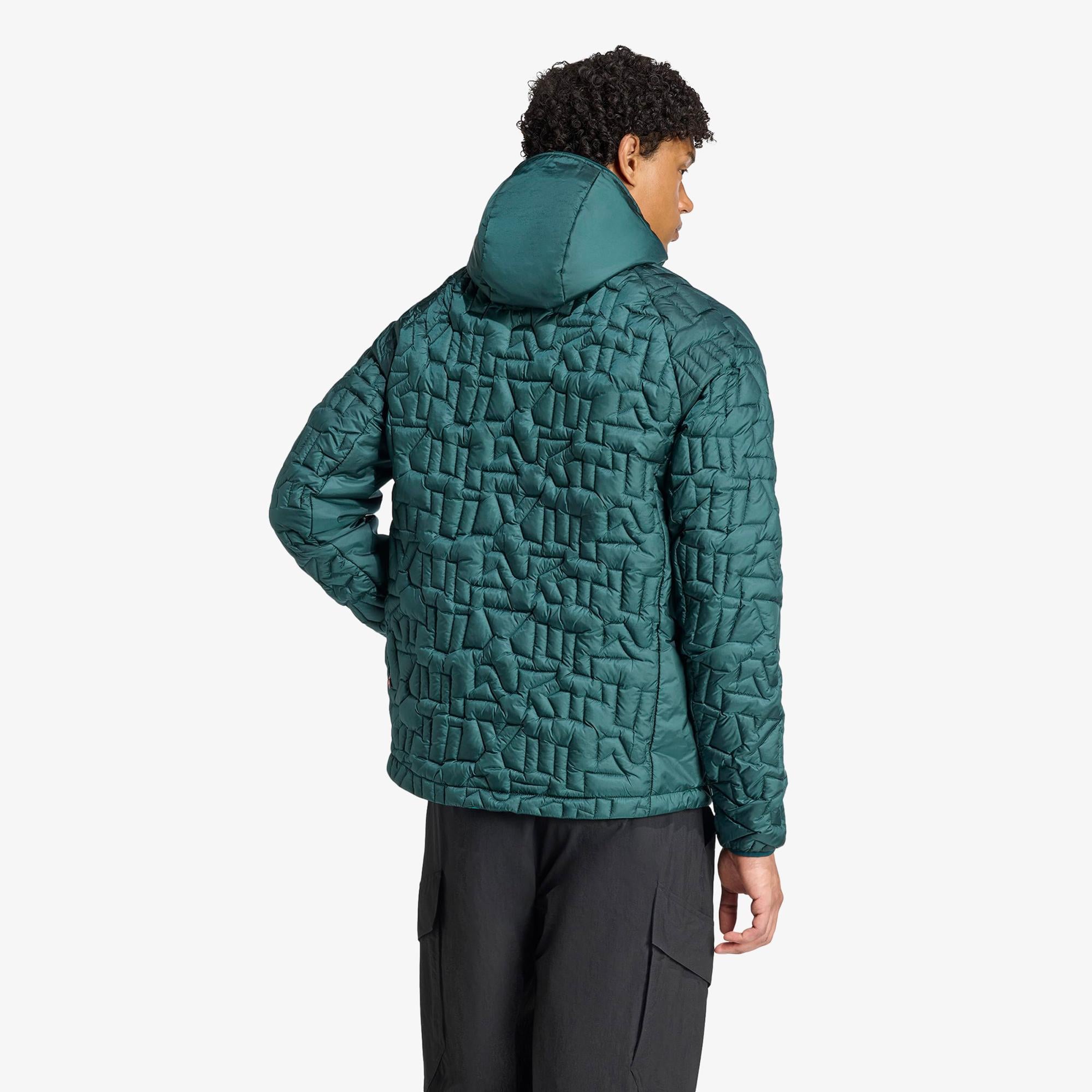 adidas Terrex Xperior Primaloft Loose Fill insulated Kapüşonlu Erkek Yeşil Yürüyüş Montu