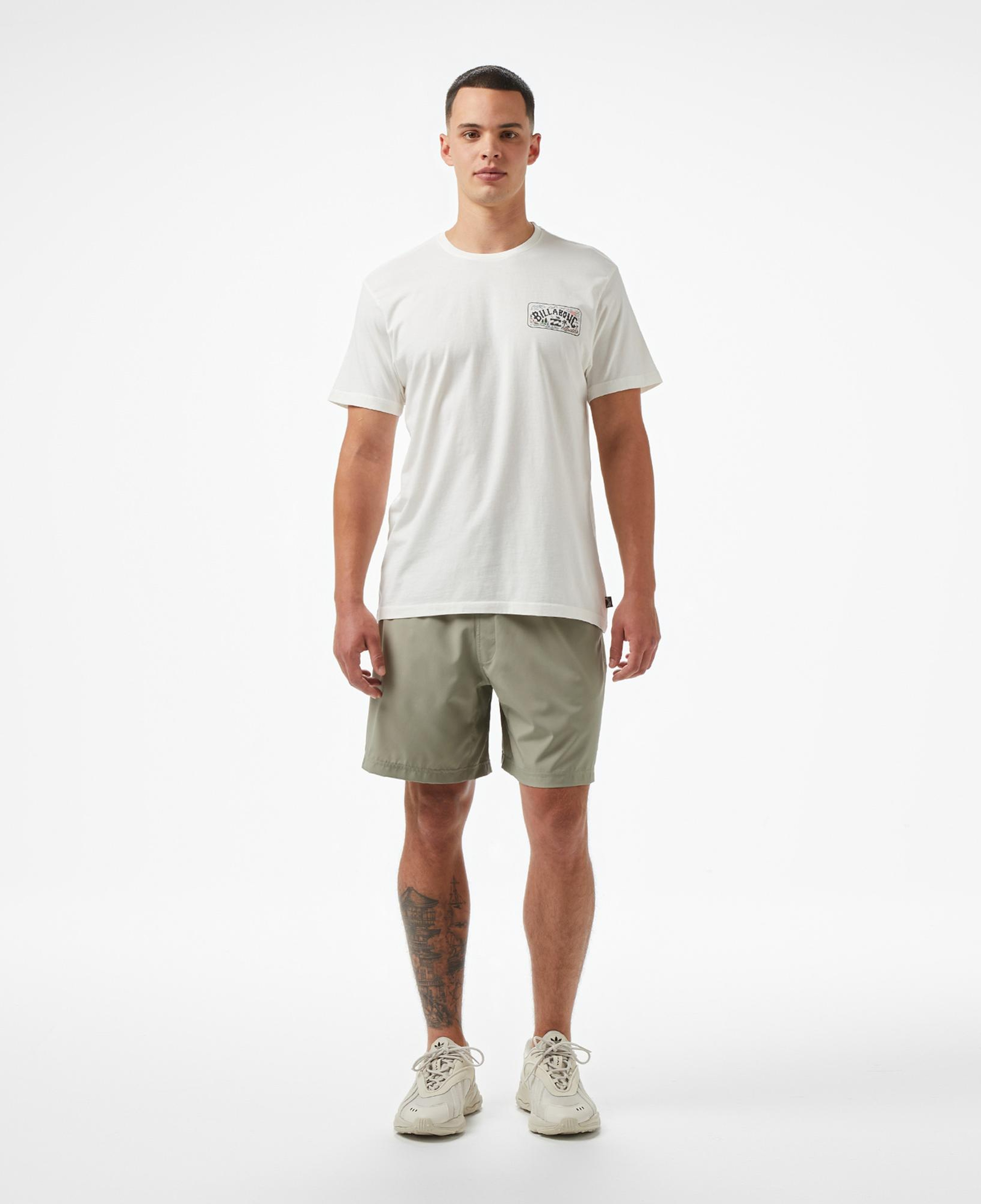 Billabong Scenic Arch Adiv Erkek Beyaz T-Shirt