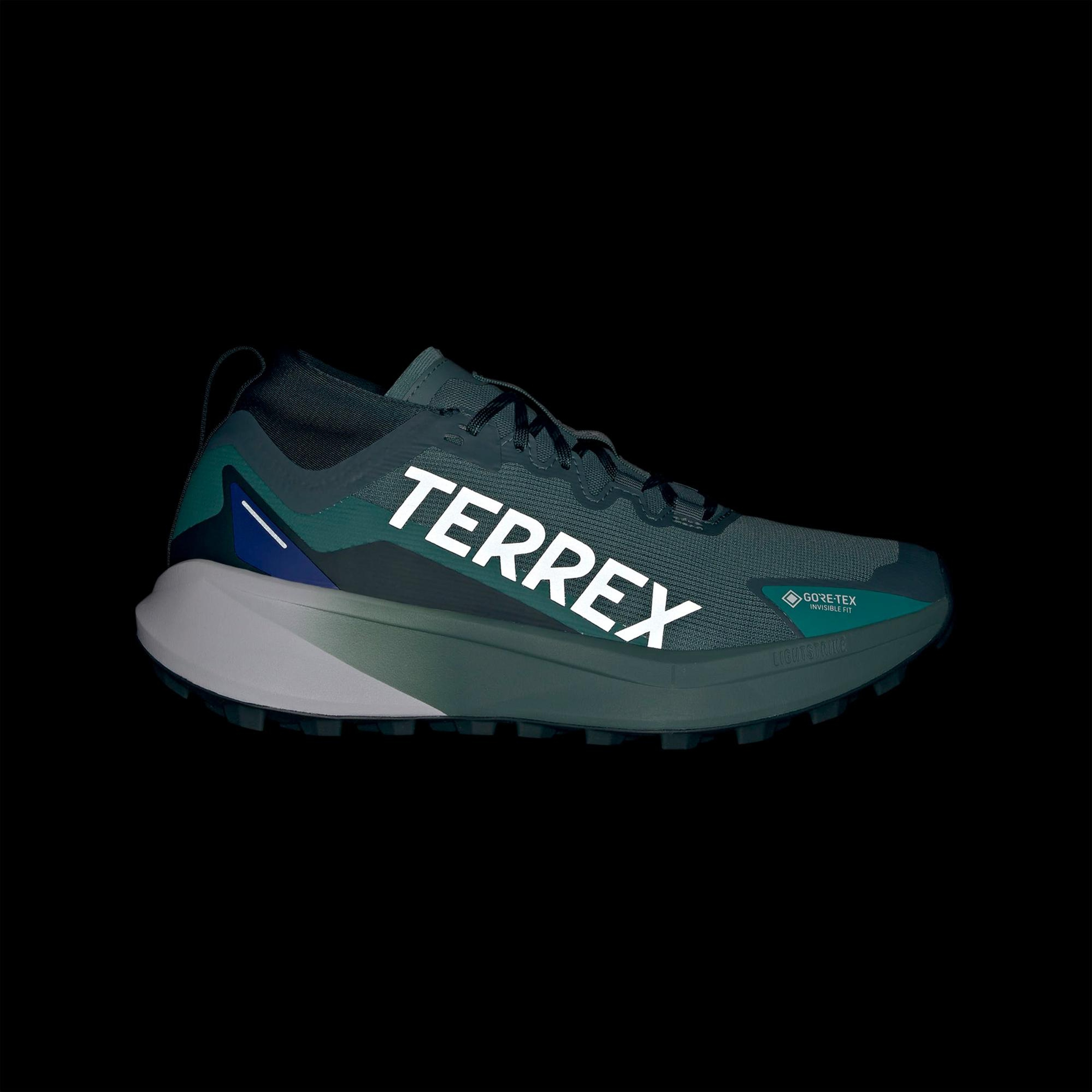 adidas Terrex Agravic Gore-Tex Erkek Yeşil Koşu Ayakkabısı