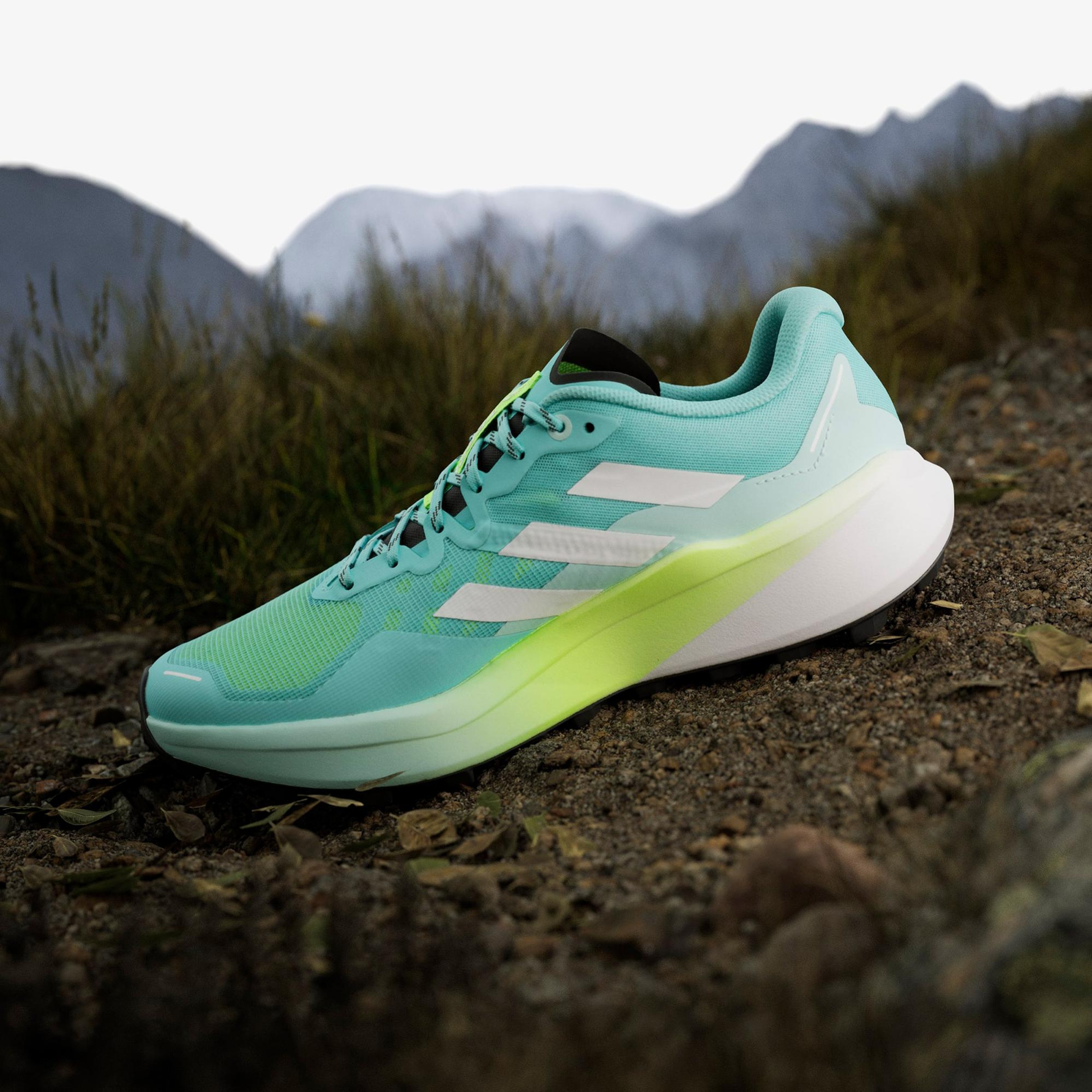 adidas Terrex Agravic 3 Erkek Mavi Koşu Ayakkabısı