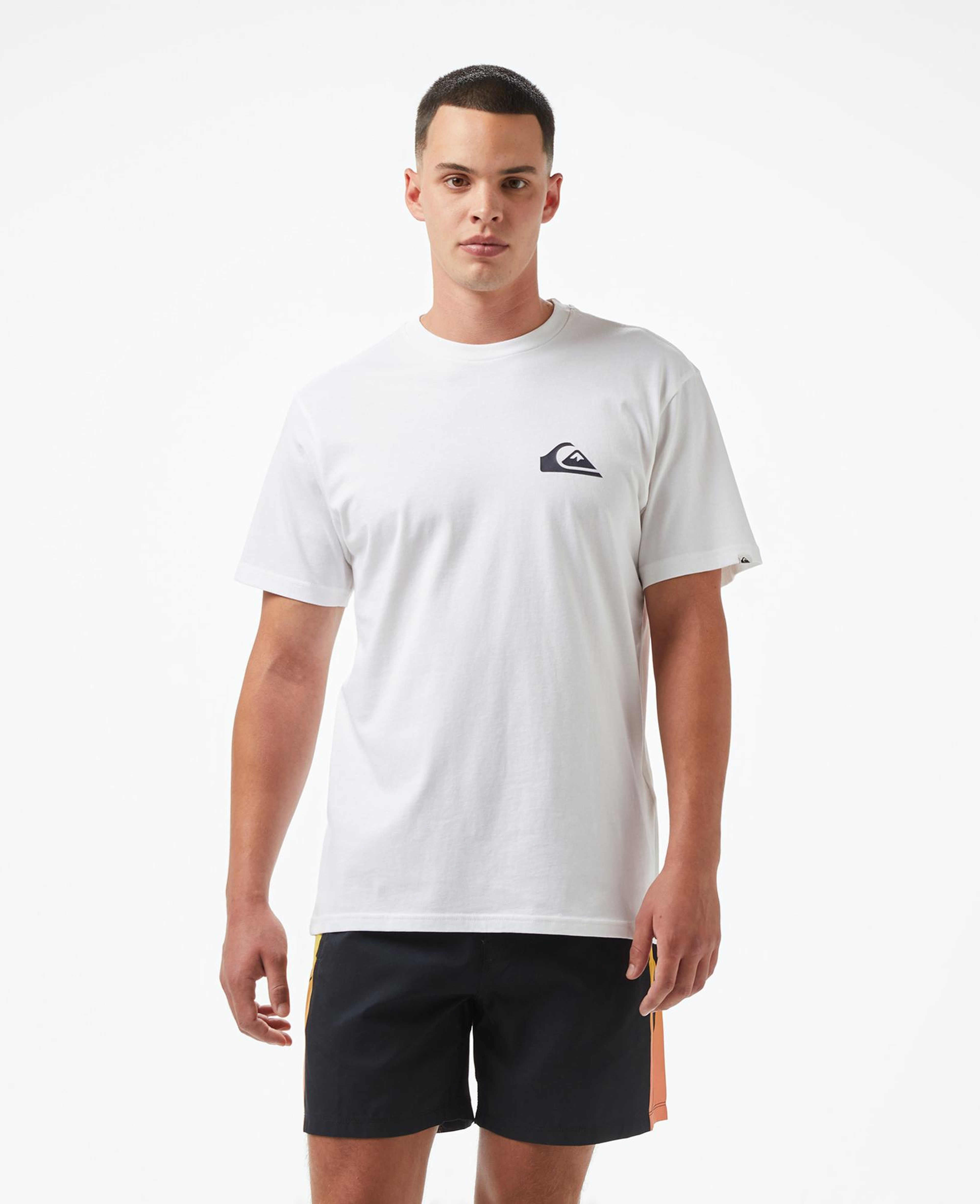 Quiksilver EV Mini Logo SS Erkek Beyaz T-Shirt