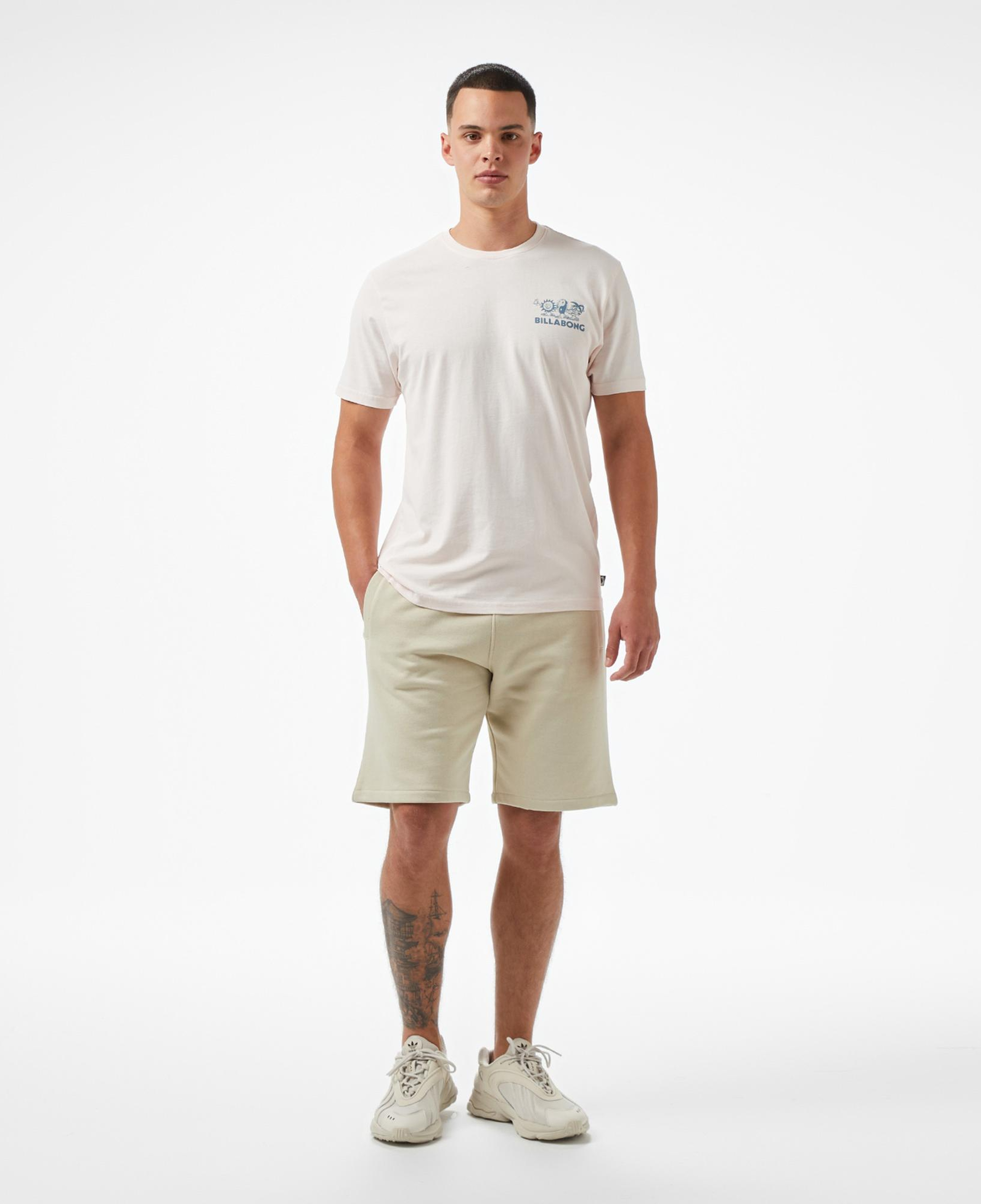 Billabong Roll Premium Erkek Pembe T-Shirt