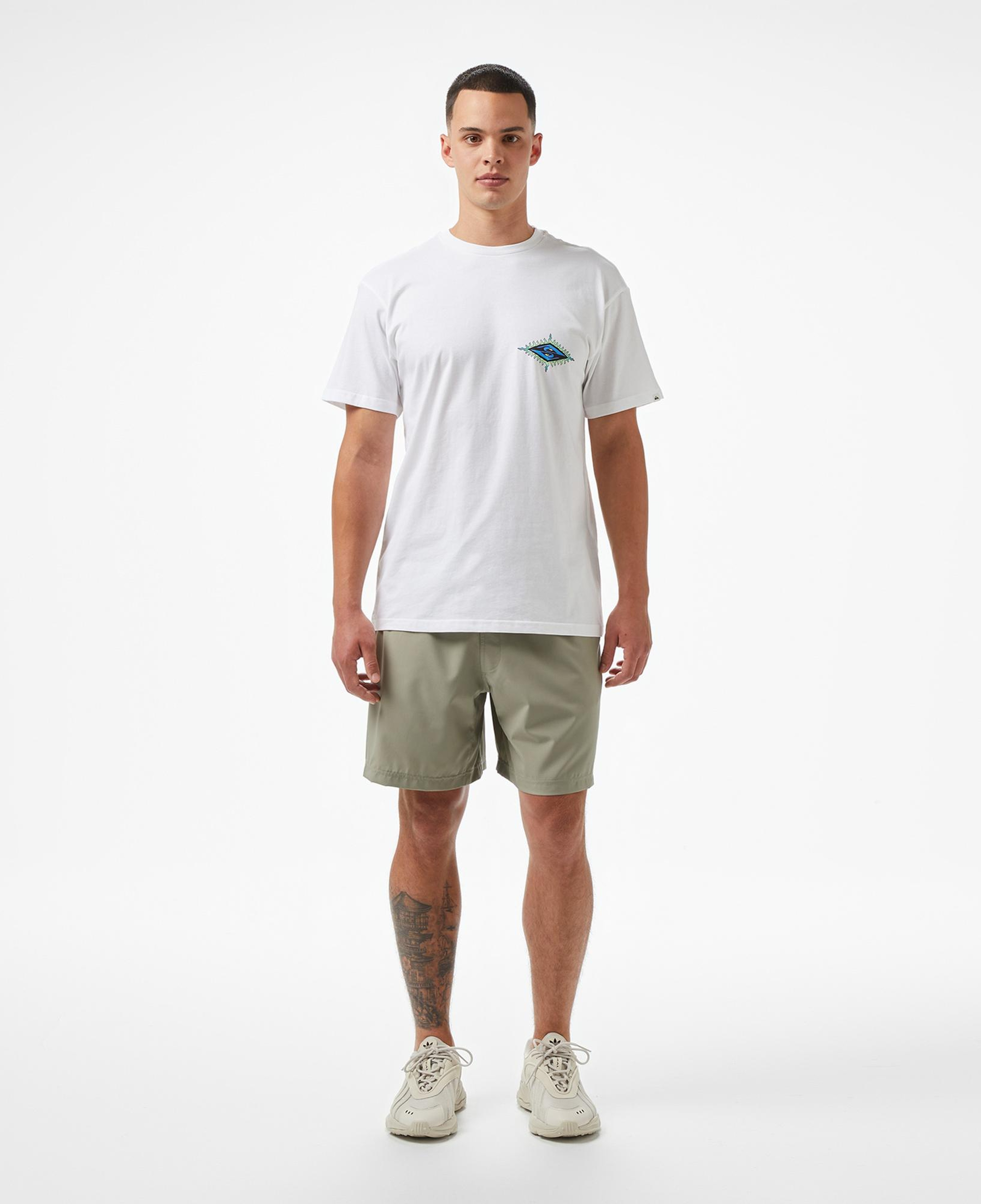 Quiksilver Ev Beach Blast Ss Erkek Beyaz T-Shirt