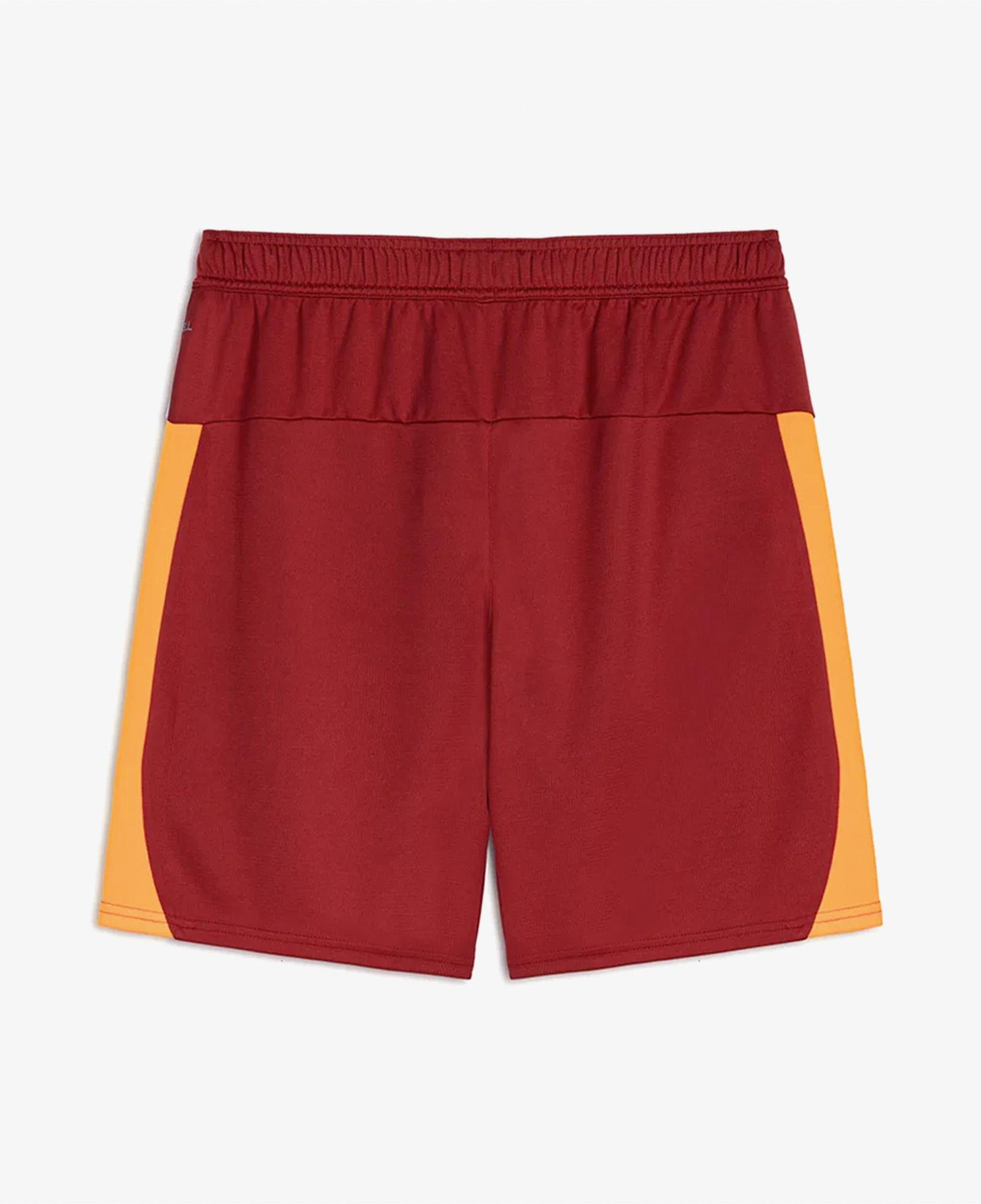 Puma Galatasaray S.K. 25-26 Erkek Kırmızı İç Saha Futbol Şortu
