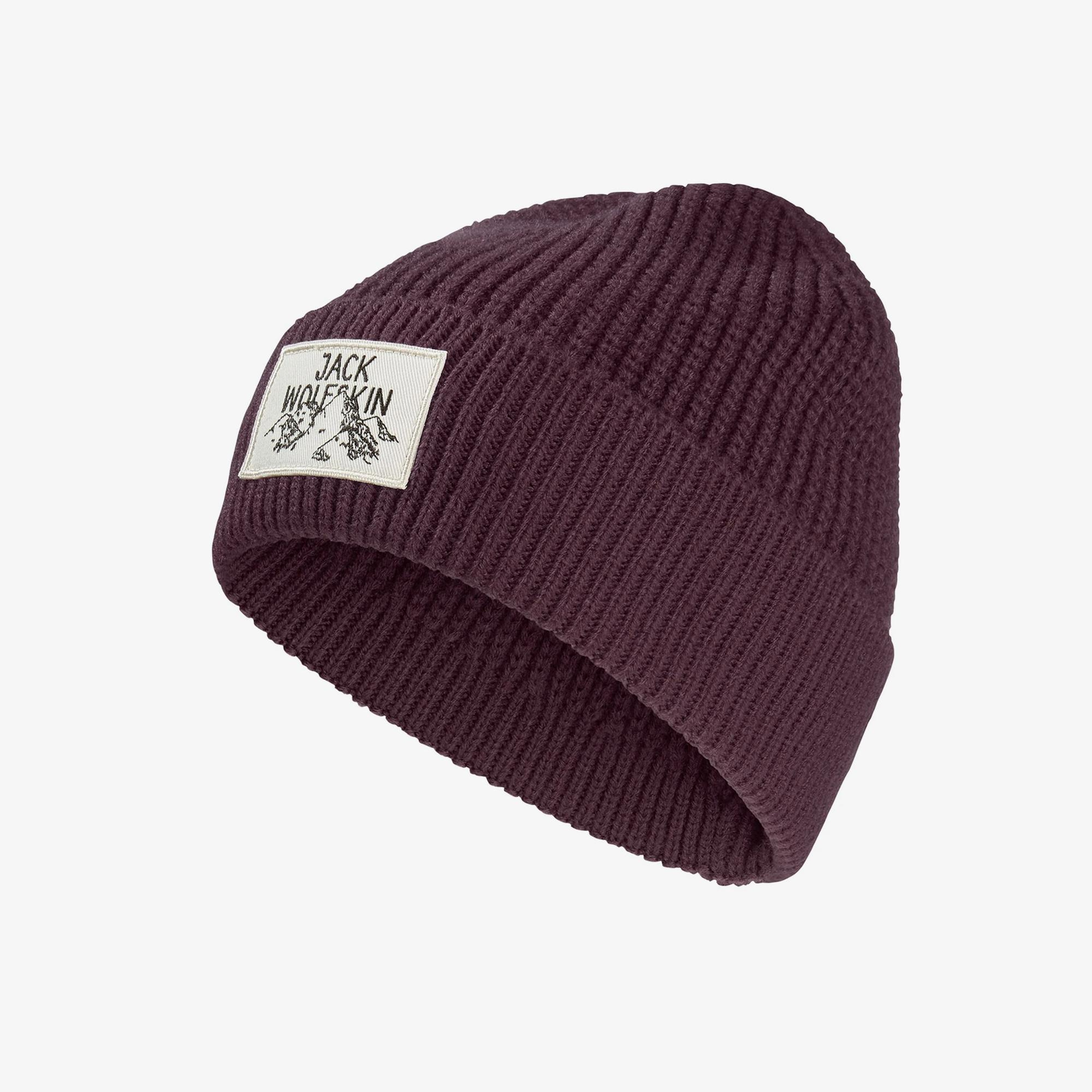 Jack Wolfskin Badge Unisex Yeşil Outdoor Bere