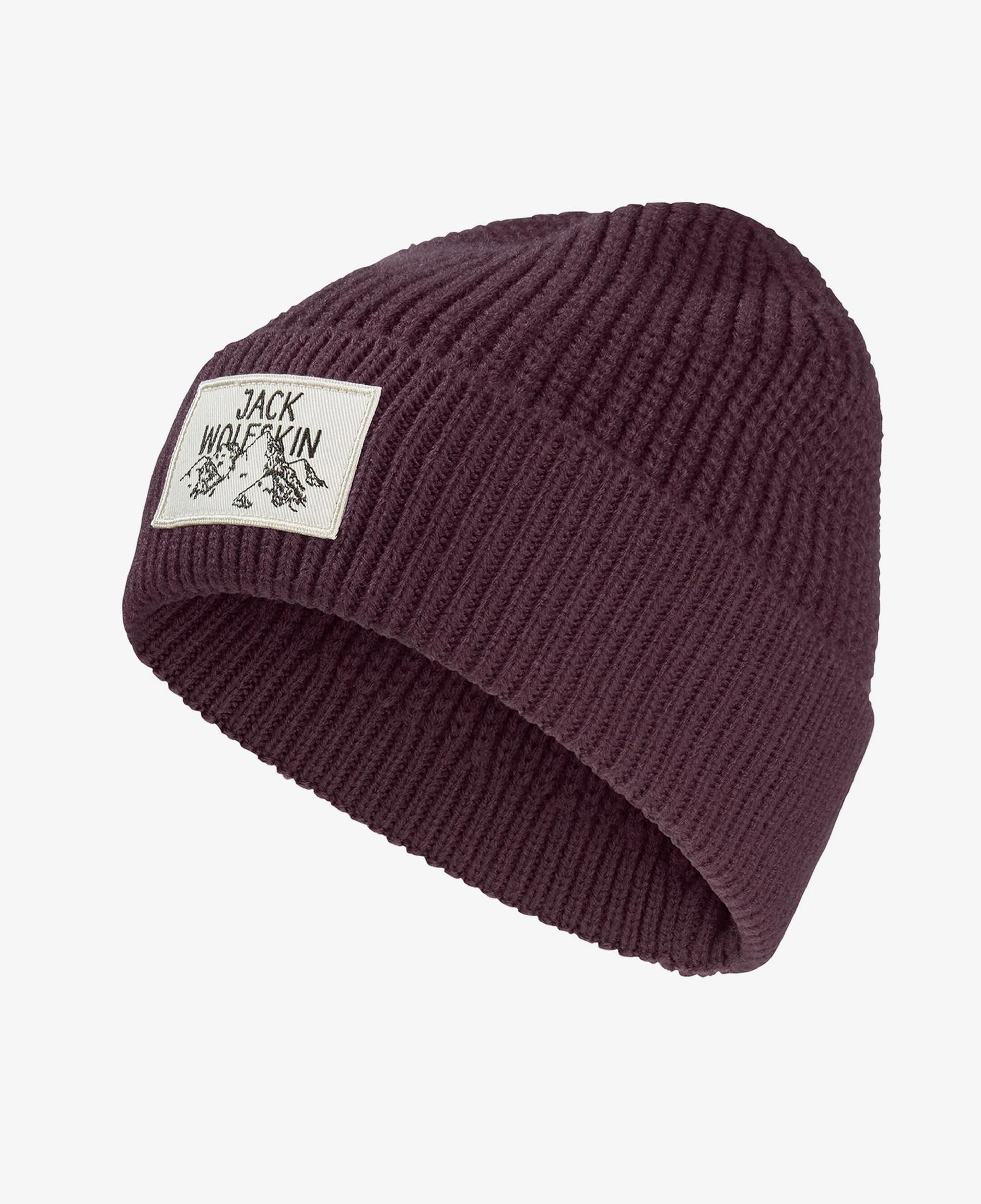 Jack Wolfskin Badge Unisex Yeşil Outdoor Bere