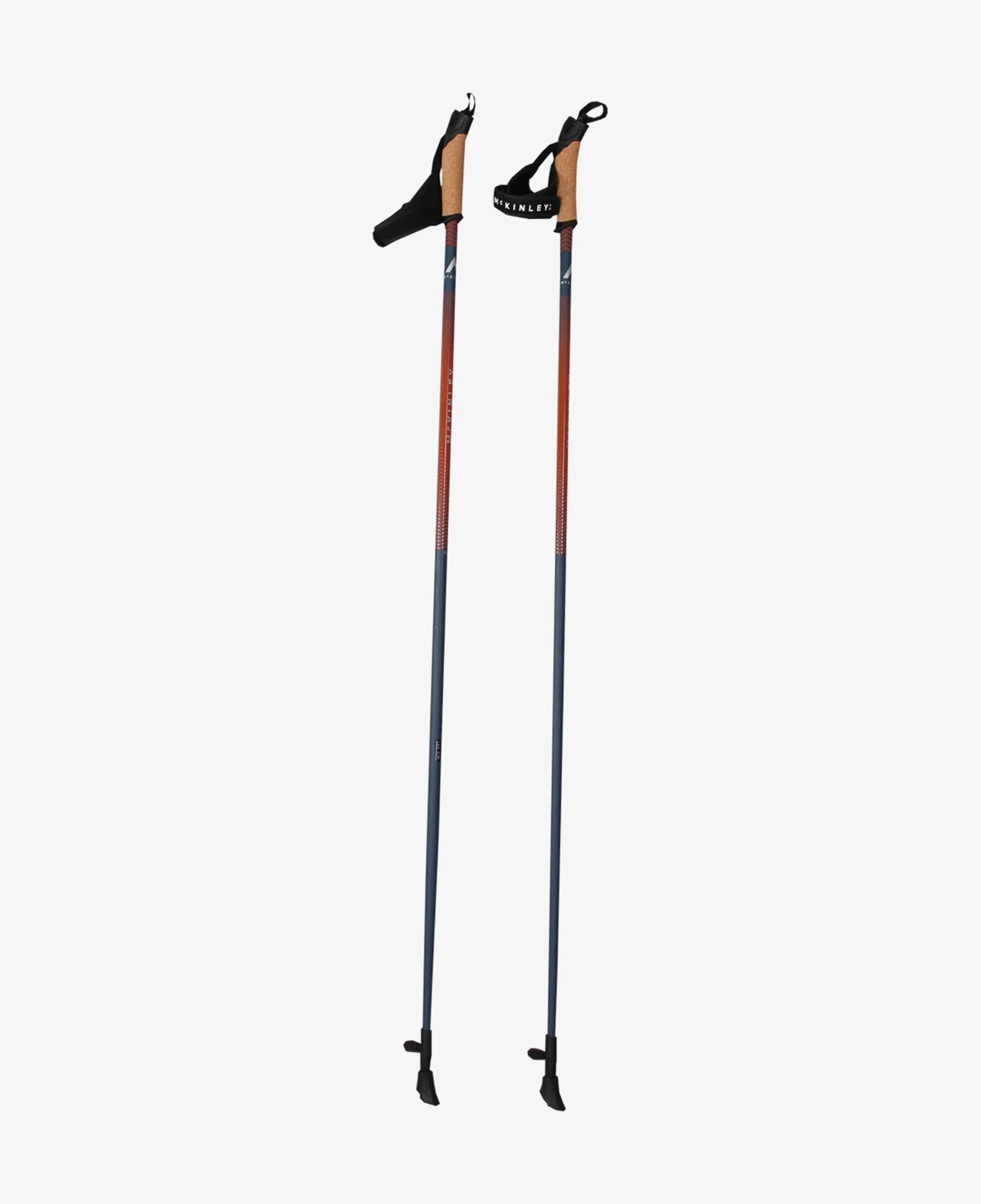 McKinley Impulse 1.0 Siyah Yürüyüş Batonu
