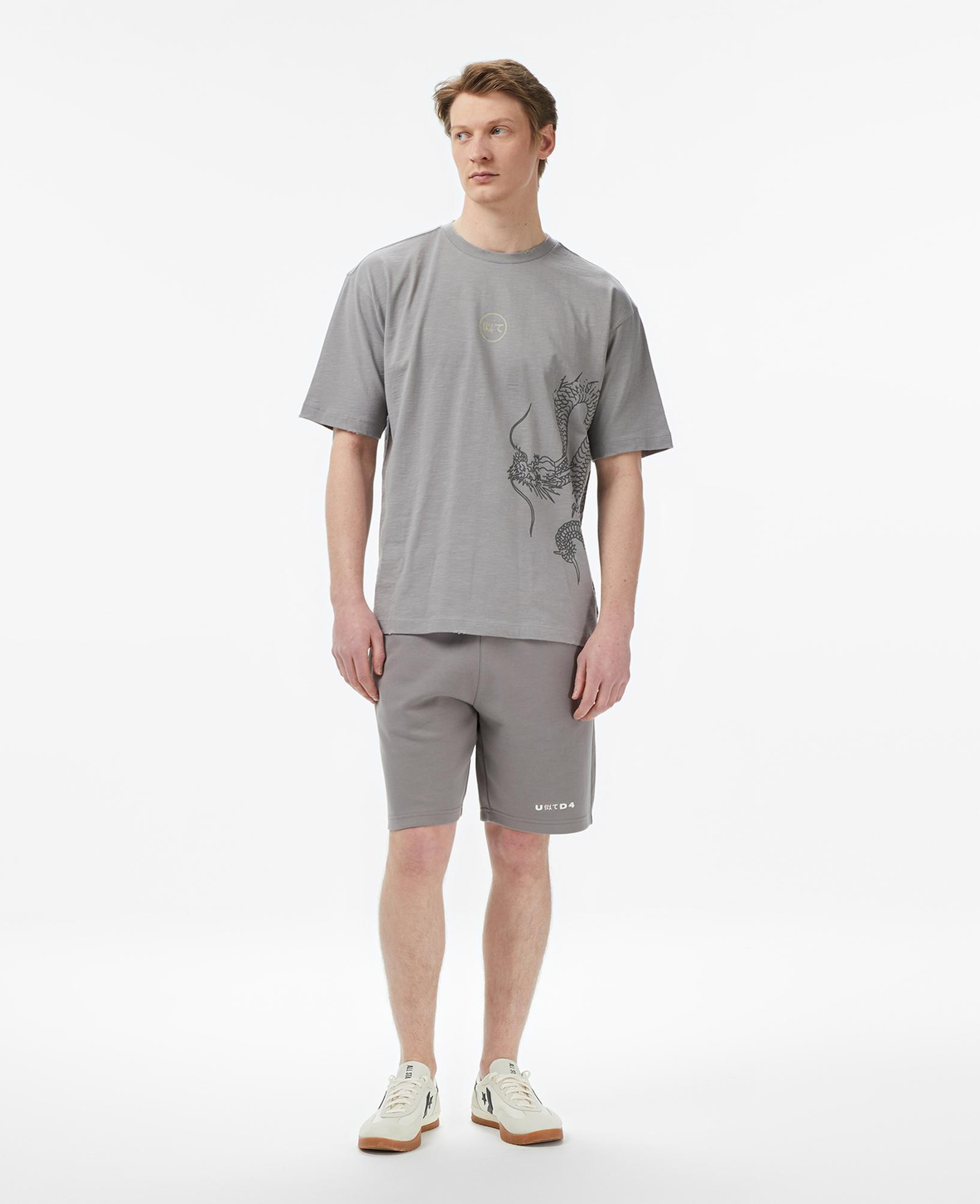 UNITED4 Regular Fit Erkek Gri Şort