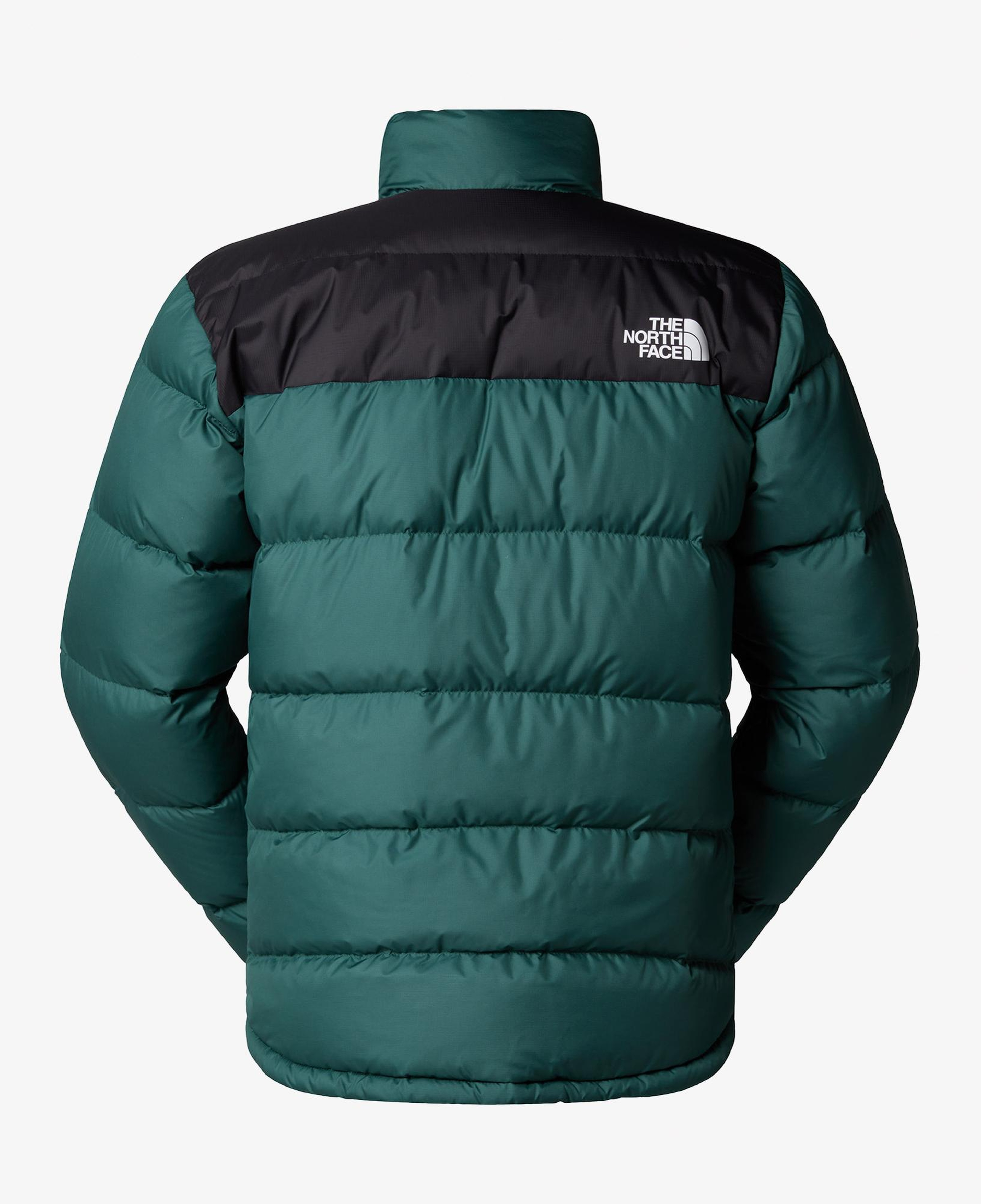 The North Face Erebus Down Erkek Yeşil Outdoor Mont