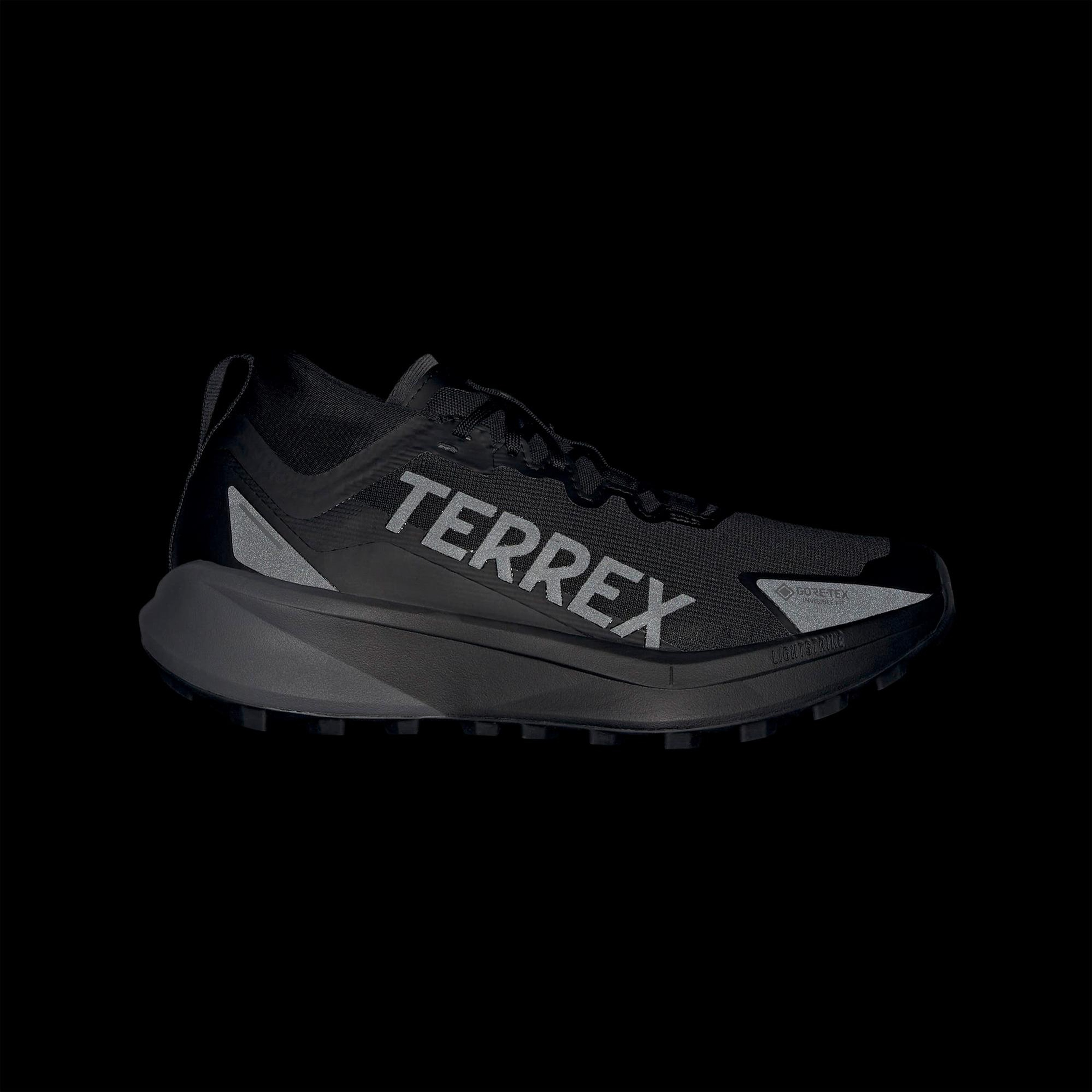 adidas Terrex Agravic Gore-Tex Erkek Siyah Koşu Ayakkabısı