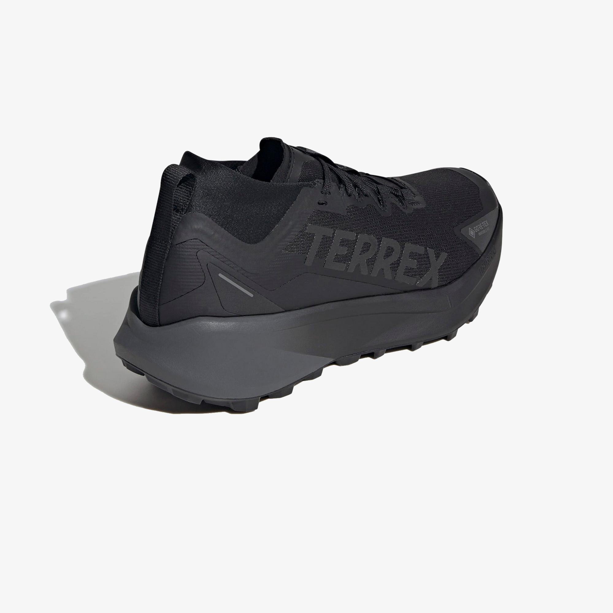 adidas Terrex Agravic Gore-Tex Erkek Siyah Koşu Ayakkabısı