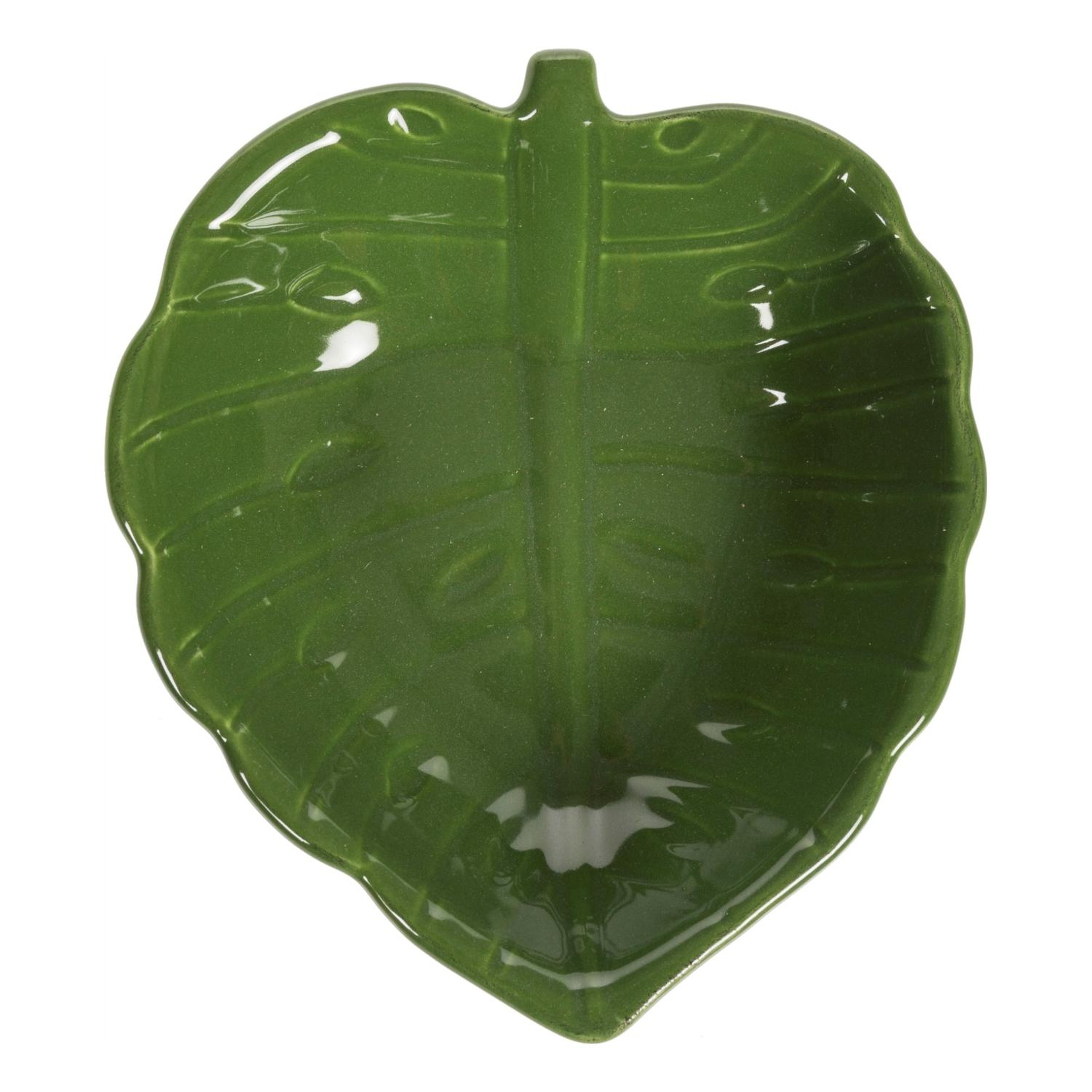 MONSTERA  CEREZLIK 14X 12,5X4 CM