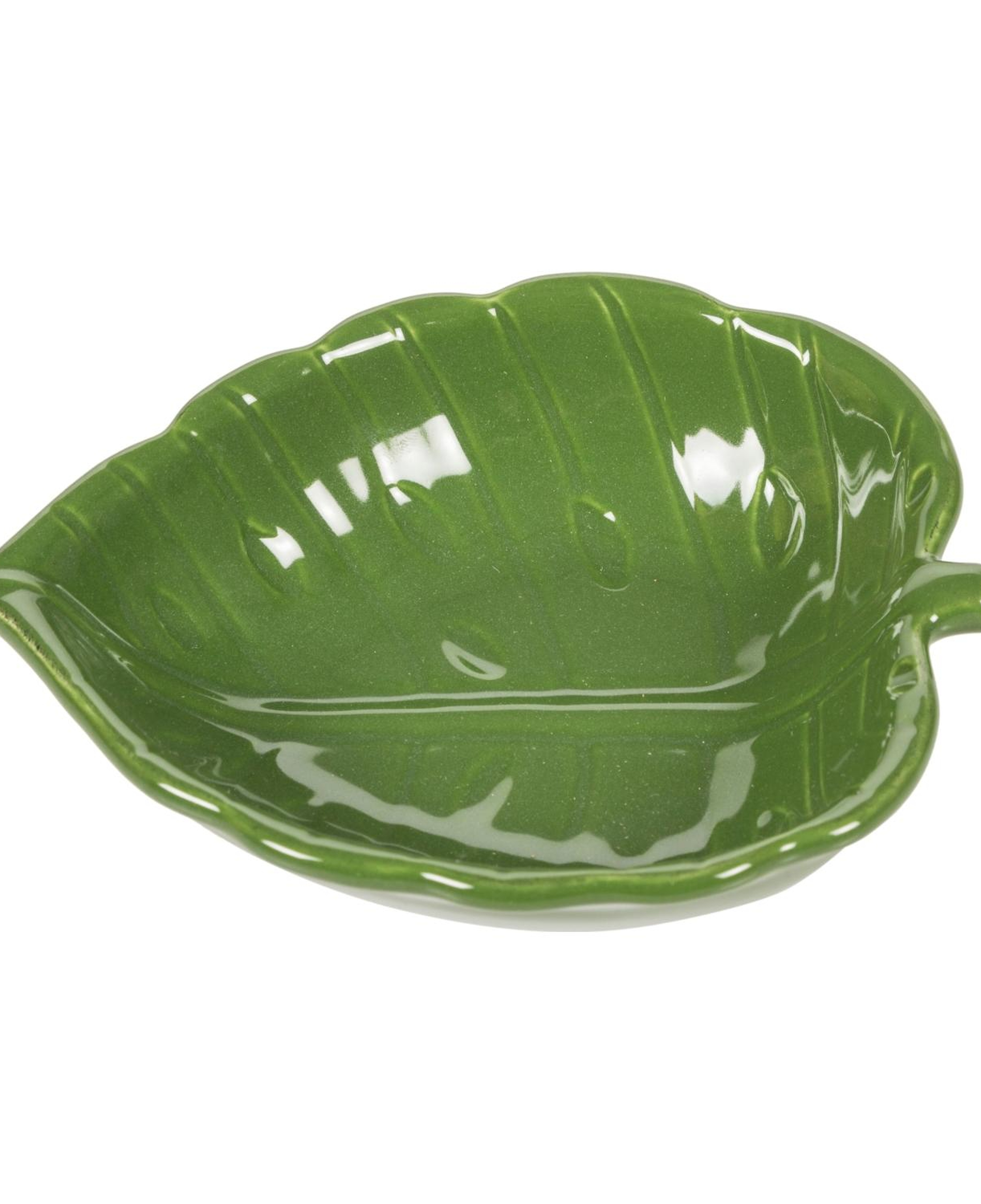 MONSTERA  CEREZLIK 14X 12,5X4 CM