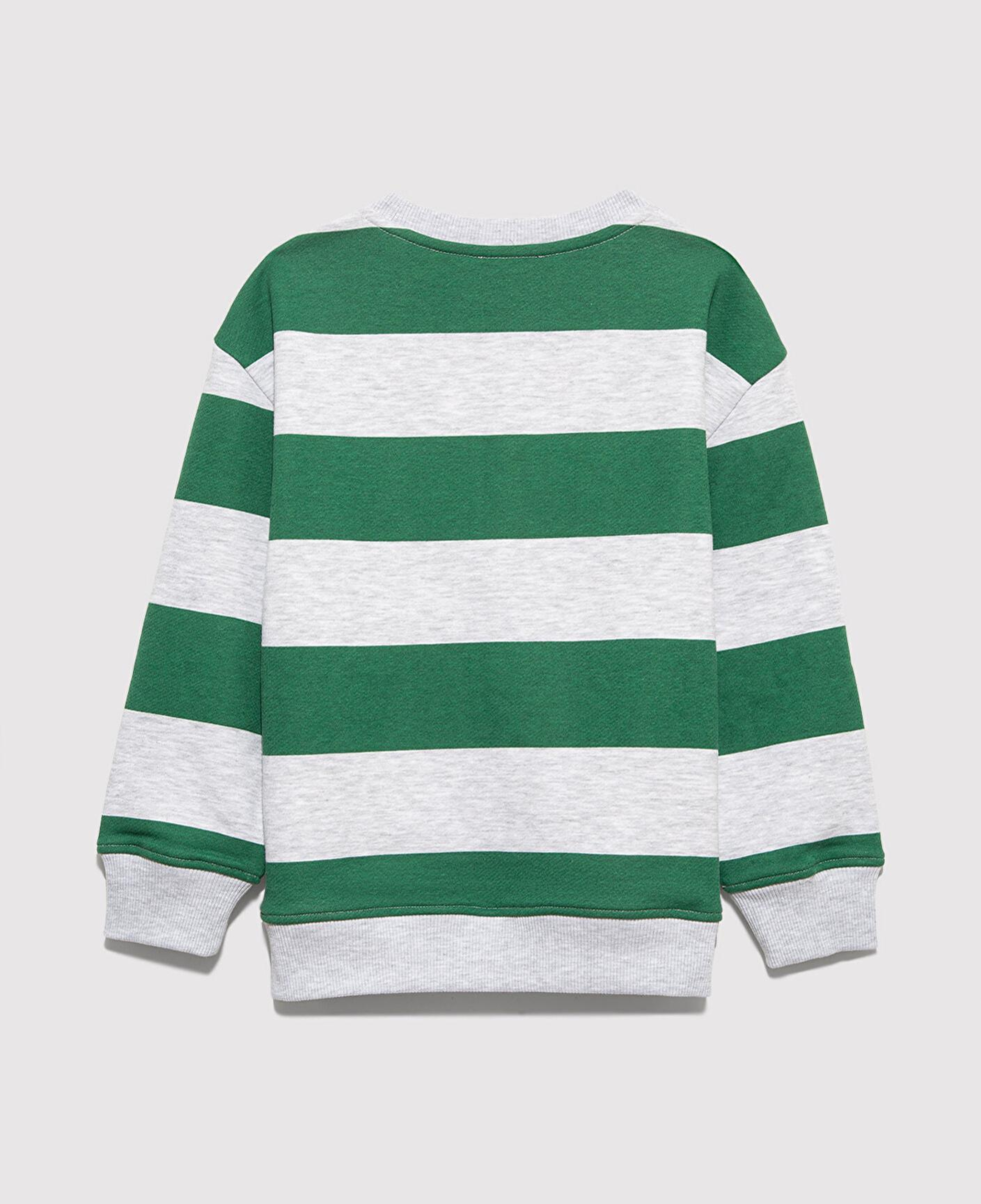 Mavi Çizgili Baskılı Yeşil Sweatshirt 6S10170-71697