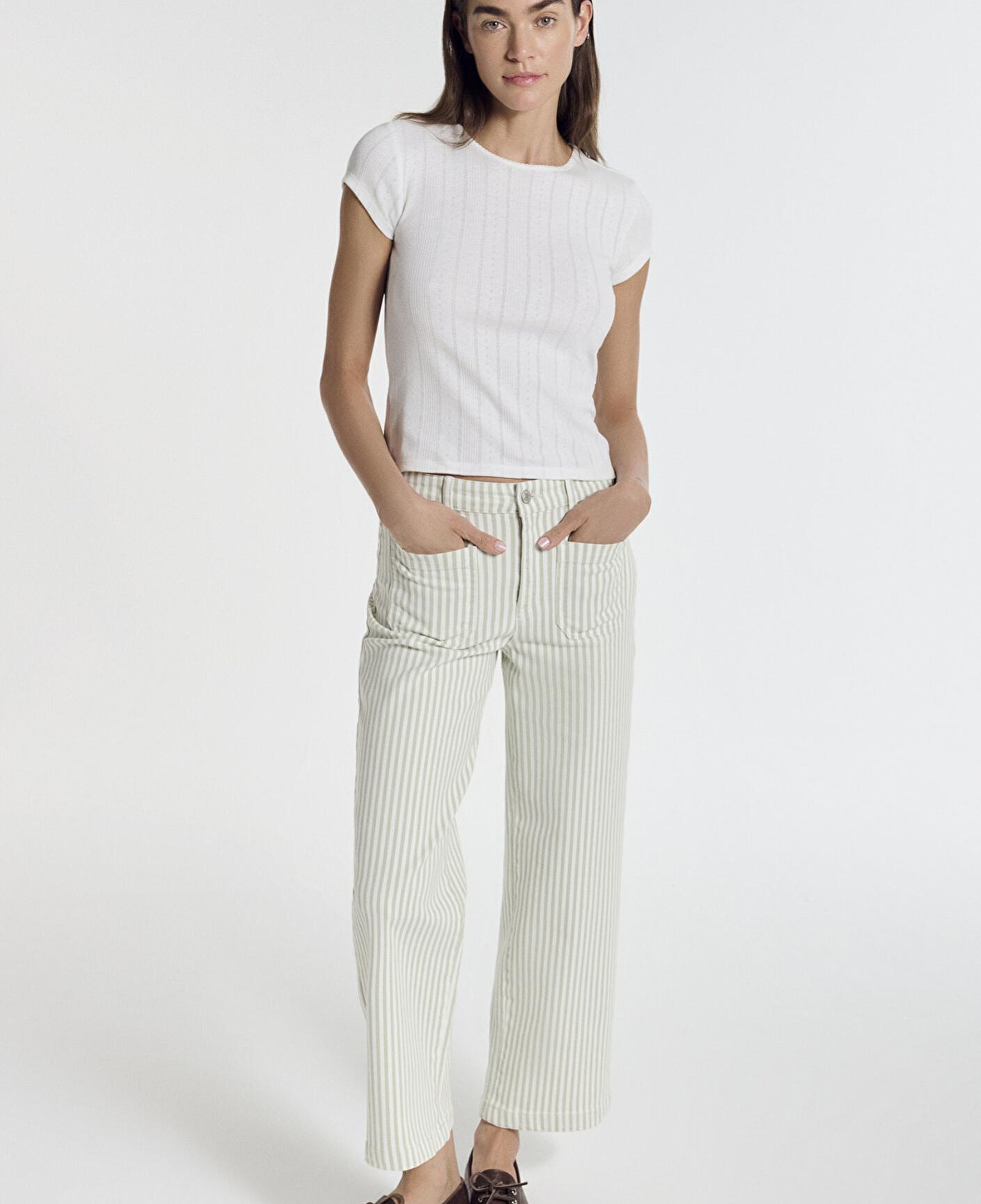 Mavi Yeşil Çizgili Ekru Pantolon 1011161-85171