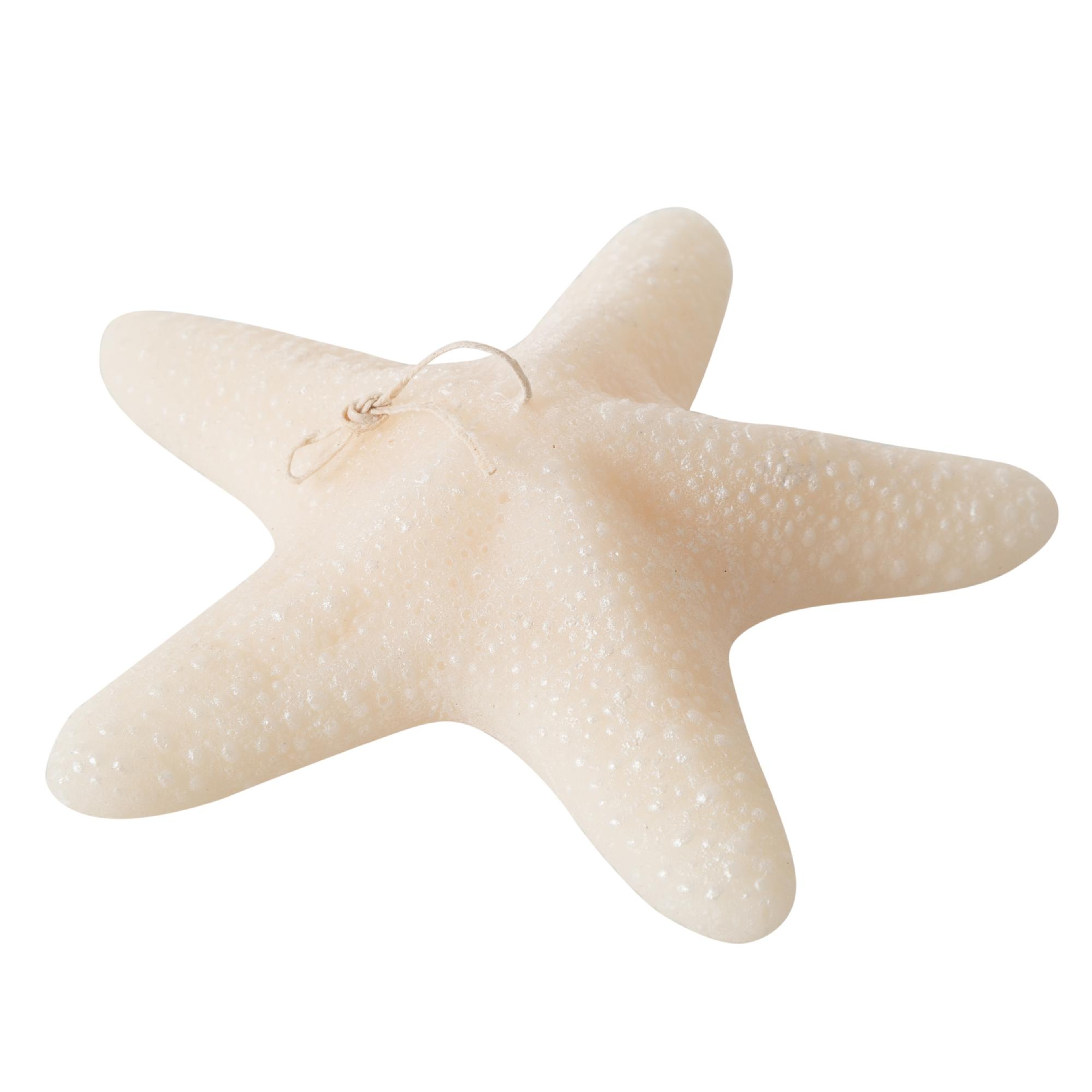 DENİZ YILDIZI MUM 21X5CM