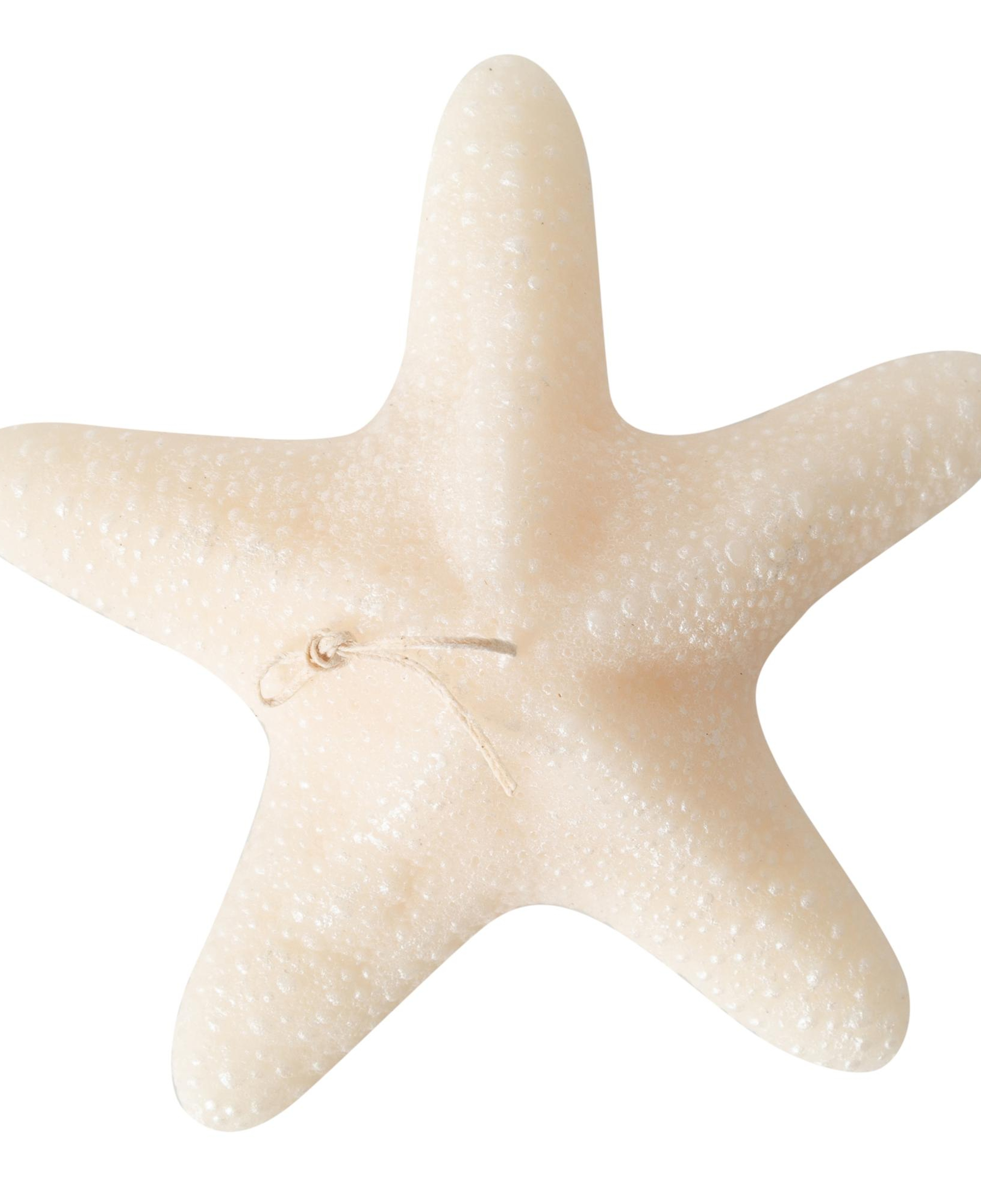 DENİZ YILDIZI MUM 21X5CM